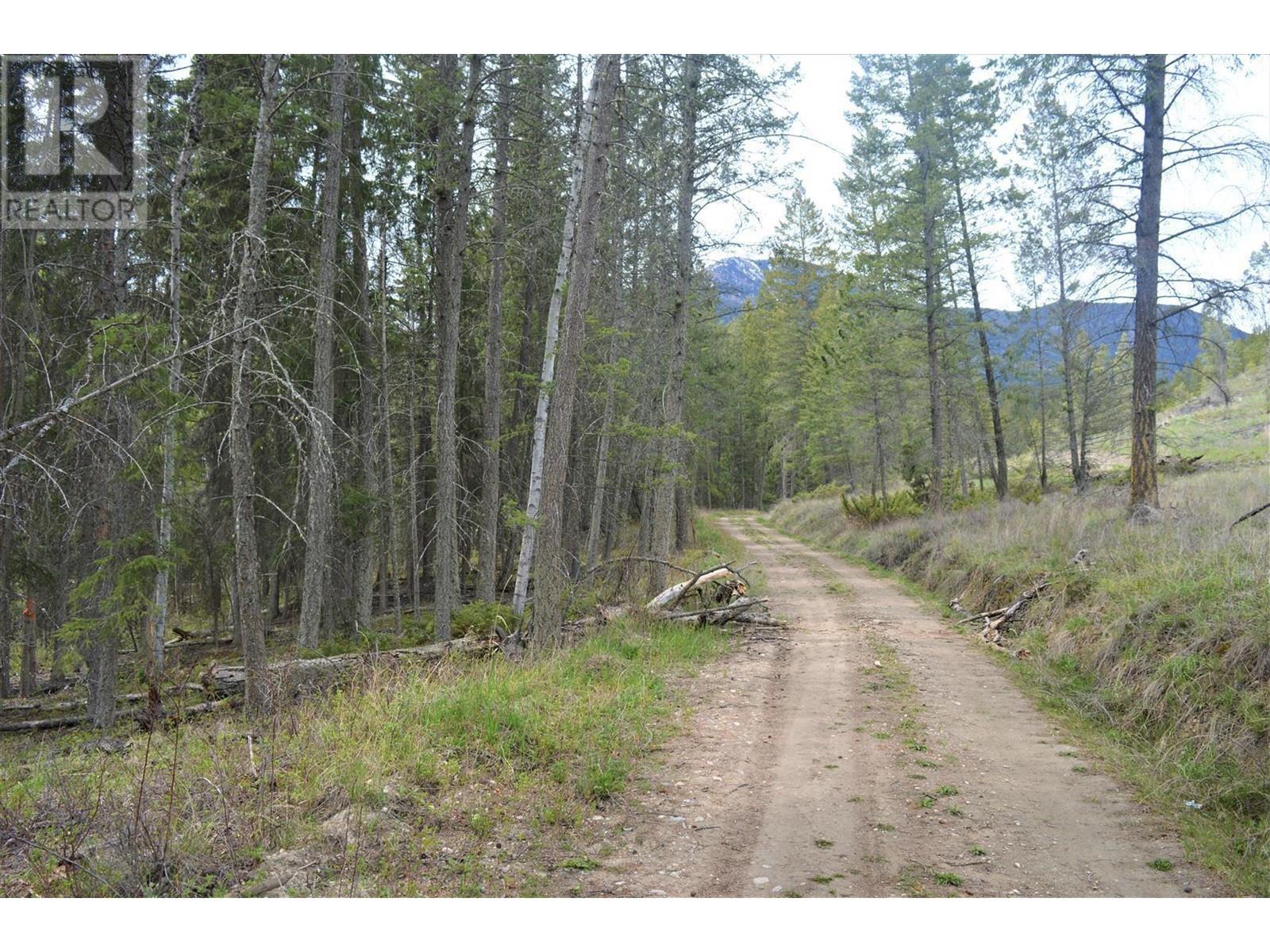 Lot 1 Hardie Creek Road, Invermere, British Columbia  V0B 1L2 - Photo 24 - 2476707