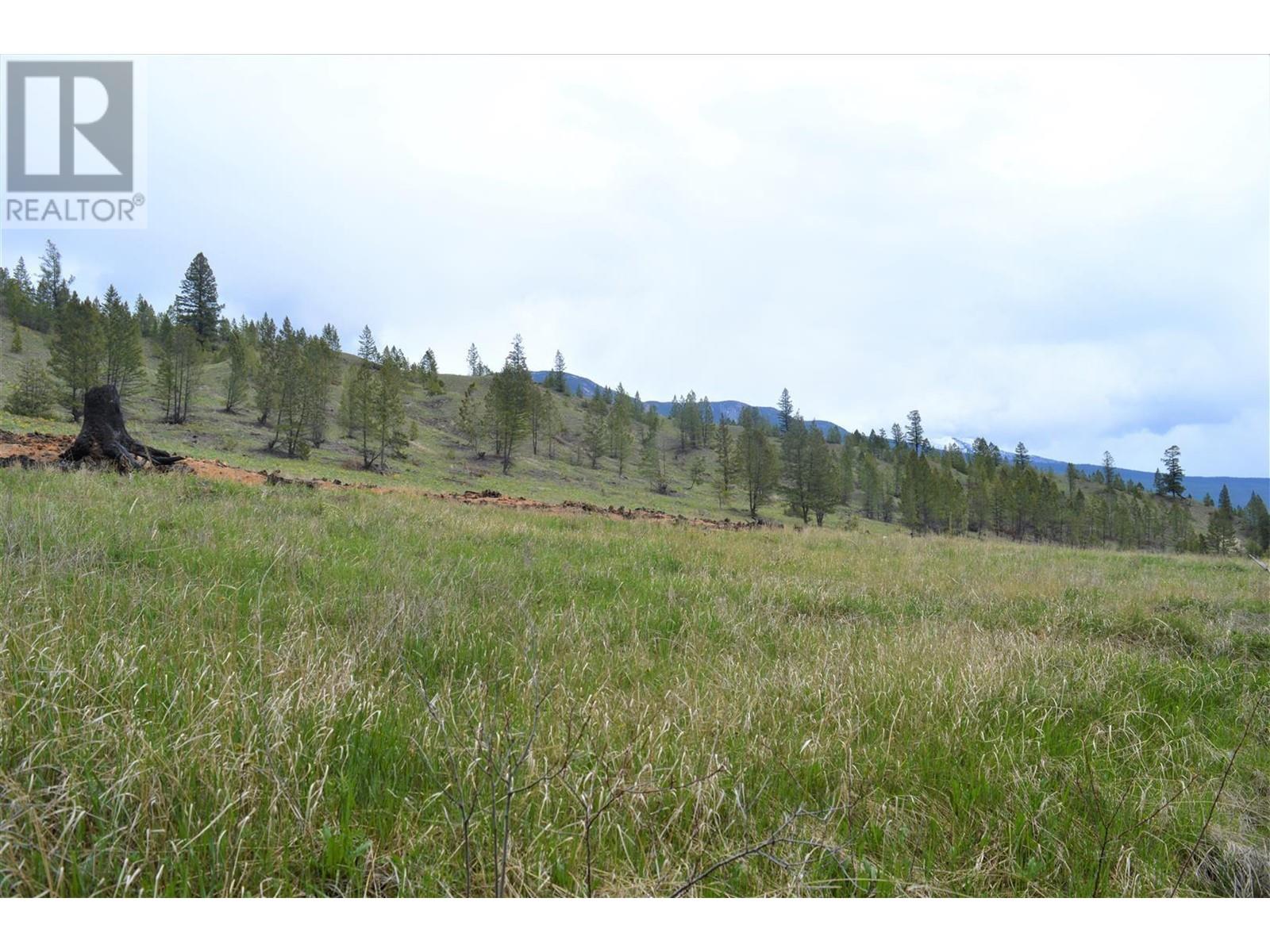 Lot 1 Hardie Creek Road, Invermere, British Columbia  V0B 1L2 - Photo 29 - 2476707