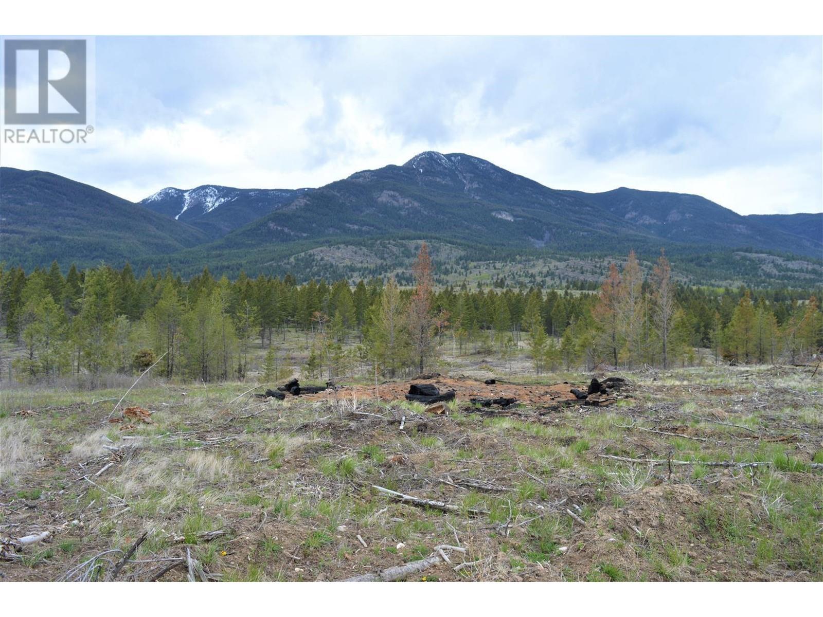 Lot 1 Hardie Creek Road, Invermere, British Columbia  V0B 1L2 - Photo 30 - 2476707