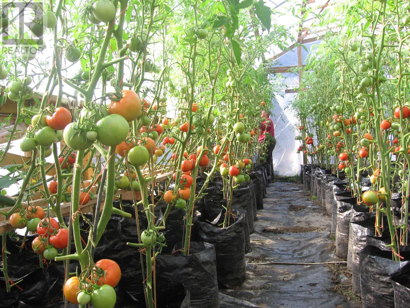 240 Riley Crossing Road, Dawson Creek, British Columbia  V1G 4E8 - Photo 3 - 10313525