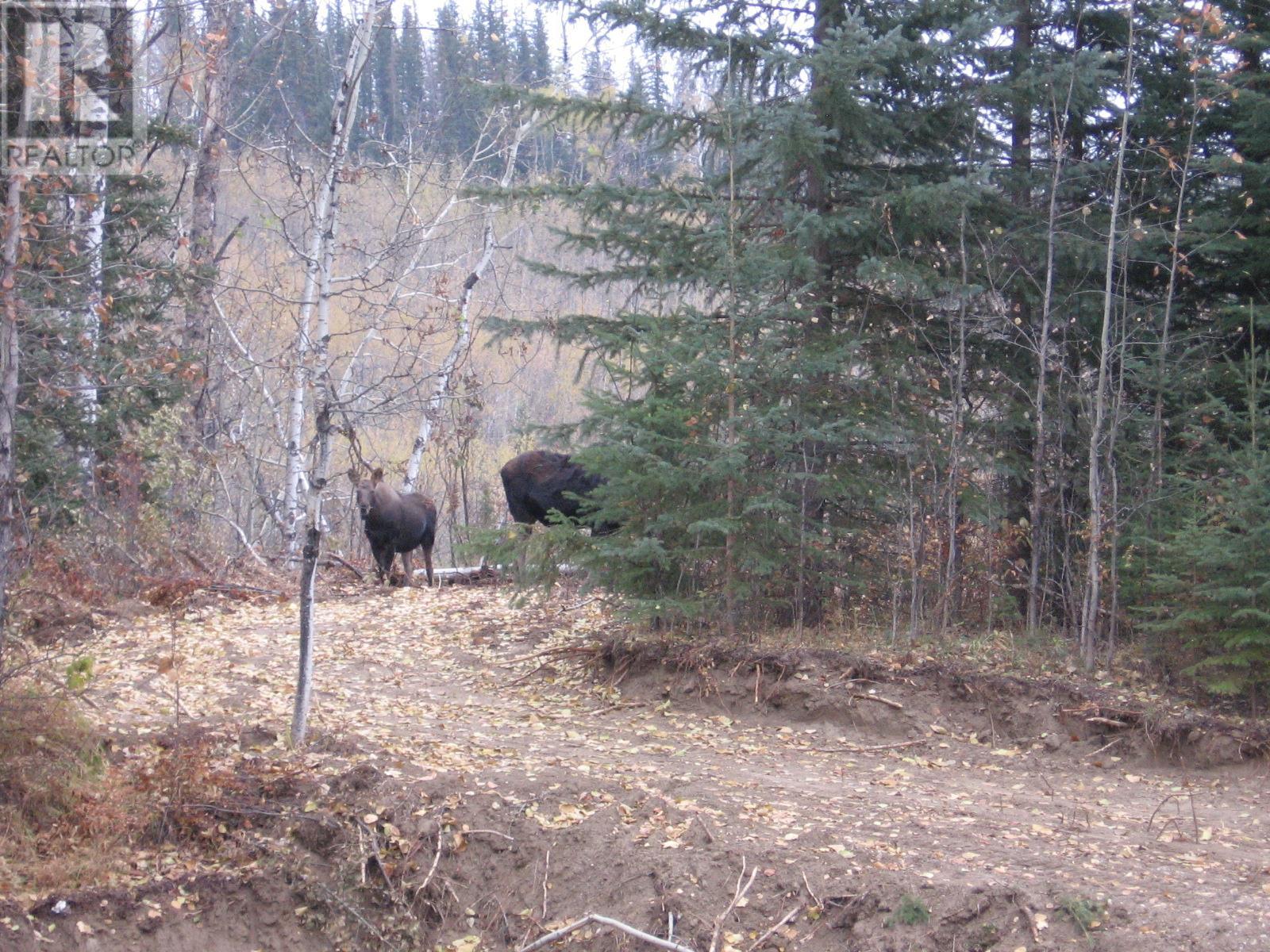 240 Riley Crossing Road, Dawson Creek, British Columbia  V1G 4E8 - Photo 9 - 10313525