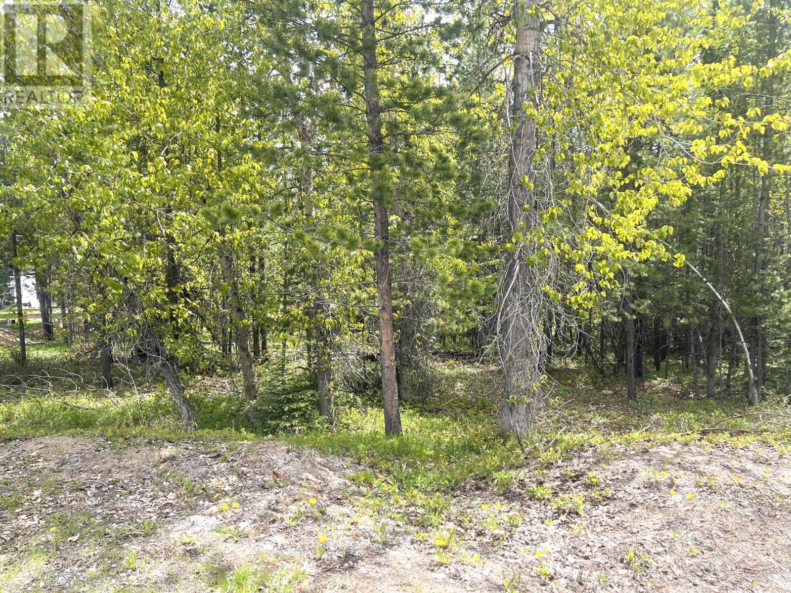 44 Darby Crescent, Elkford, British Columbia  V0B 1H0 - Photo 8 - 2477385