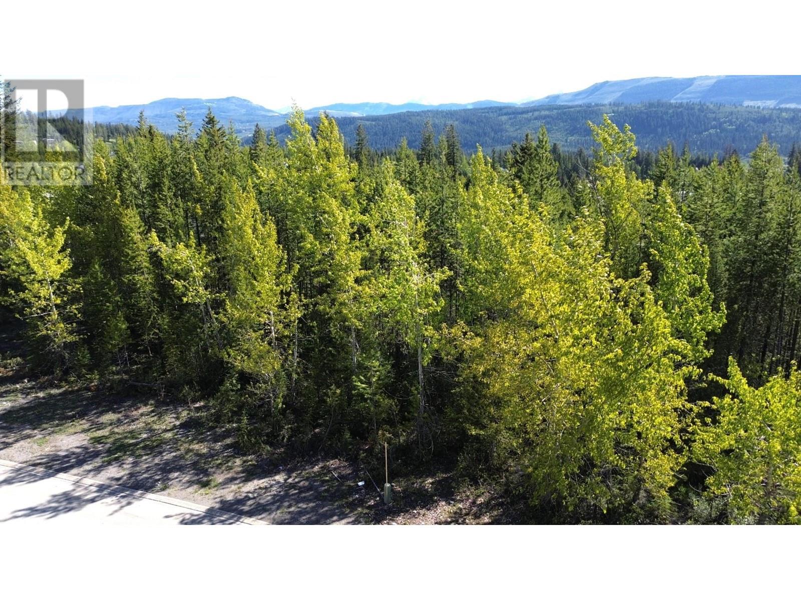 4 Dallas Place, Elkford, British Columbia  V0B 1H0 - Photo 10 - 2477489