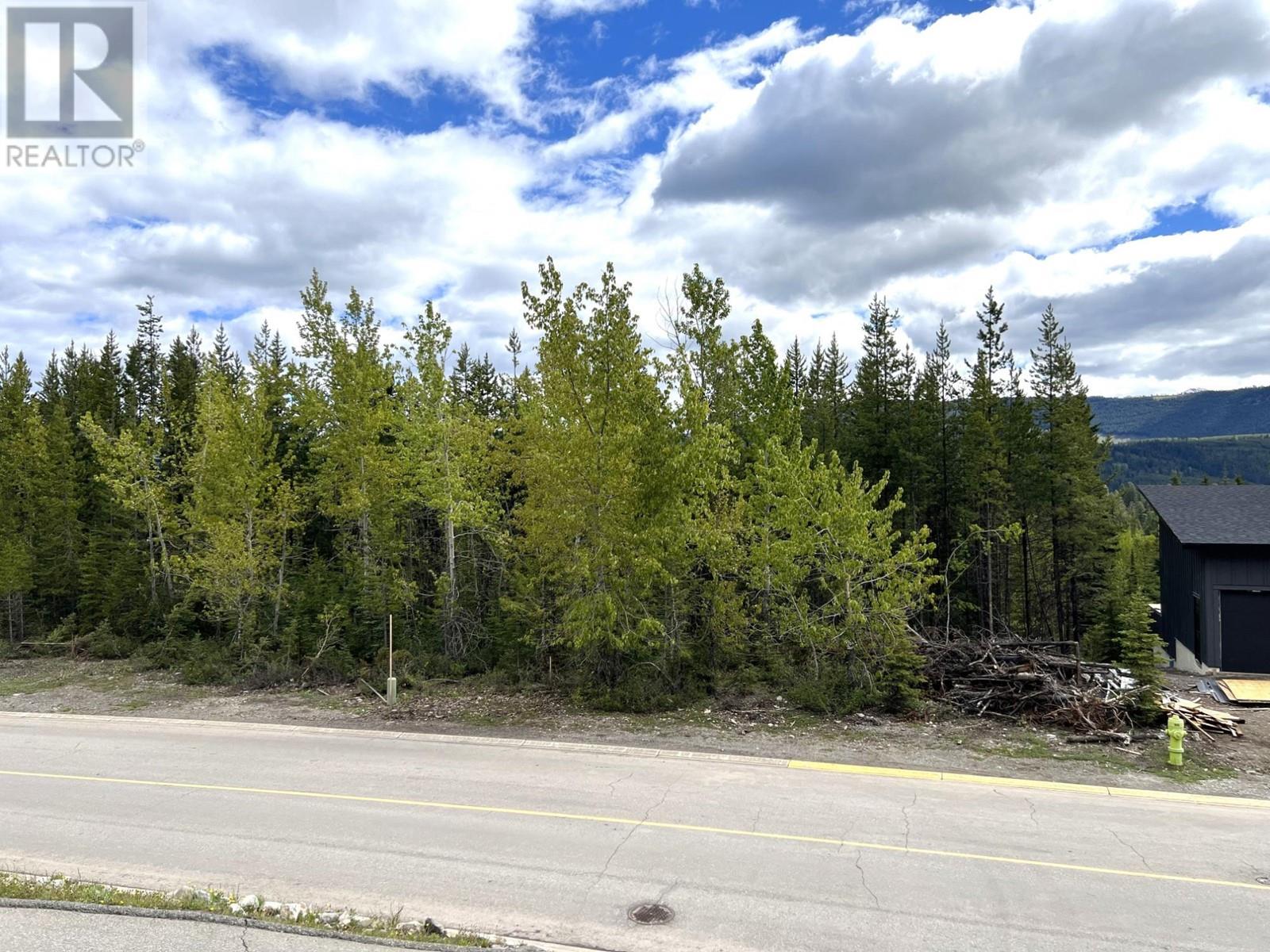 4 Dallas Place, Elkford, British Columbia  V0B 1H0 - Photo 9 - 2477489