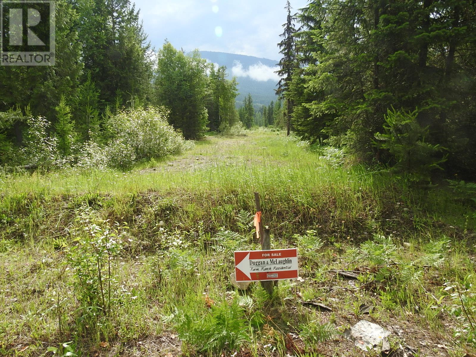 9700 6 Highway, Edgewood, British Columbia  V0G 1J0 - Photo 17 - 2477581