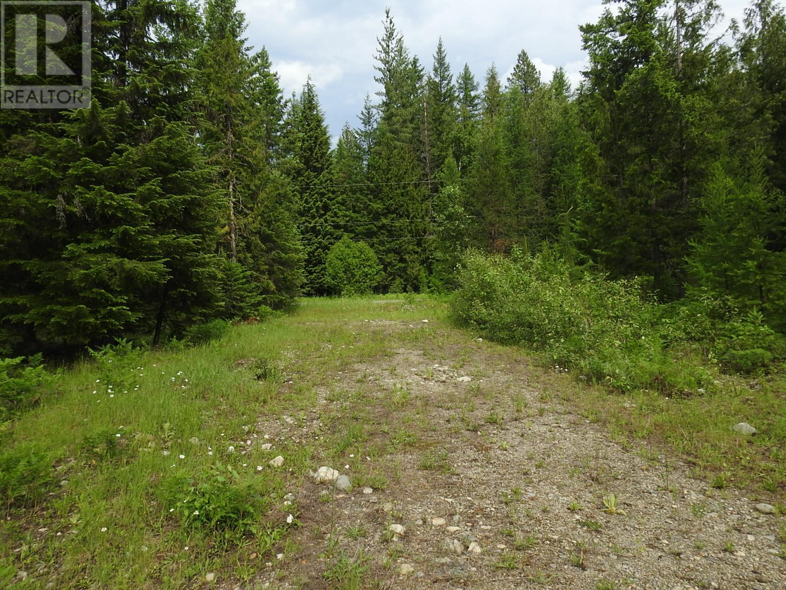 9700 6 Highway, Edgewood, British Columbia  V0G 1J0 - Photo 19 - 2477581