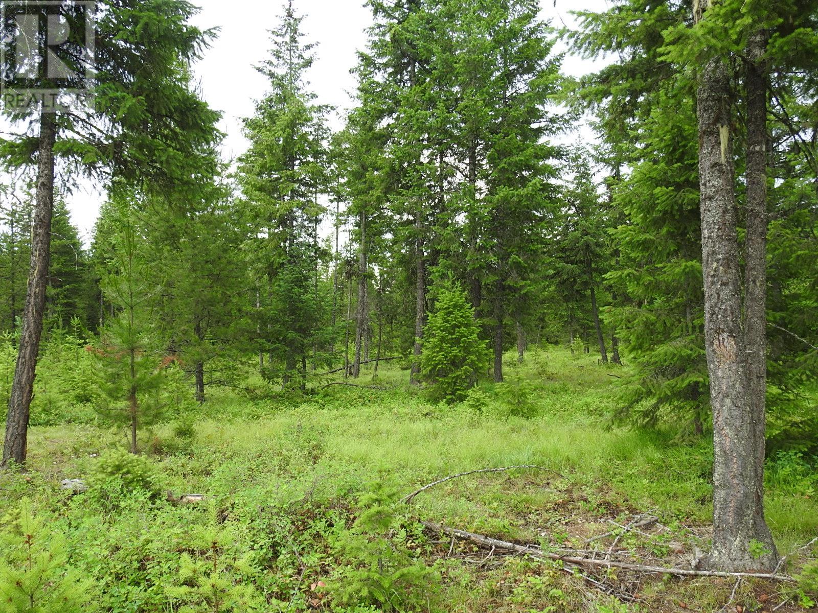 9700 6 Highway, Edgewood, British Columbia  V0G 1J0 - Photo 2 - 2477581