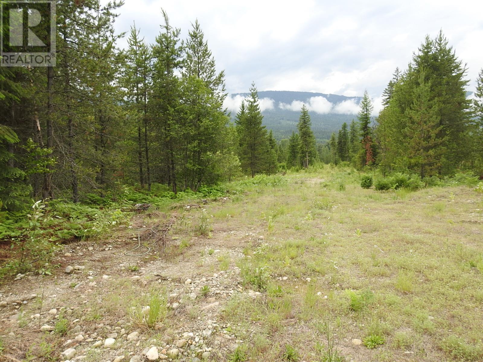 9700 6 Highway, Edgewood, British Columbia  V0G 1J0 - Photo 20 - 2477581