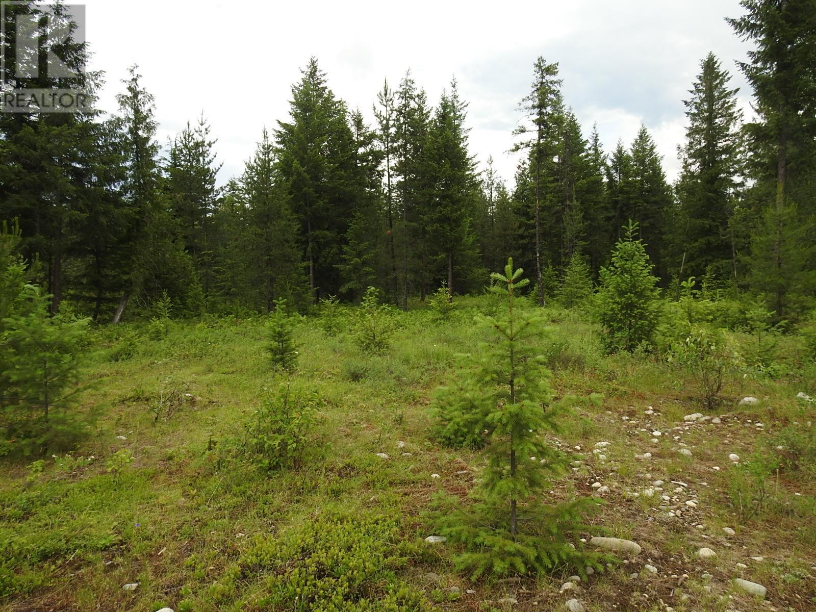 9700 6 Highway, Edgewood, British Columbia  V0G 1J0 - Photo 21 - 2477581