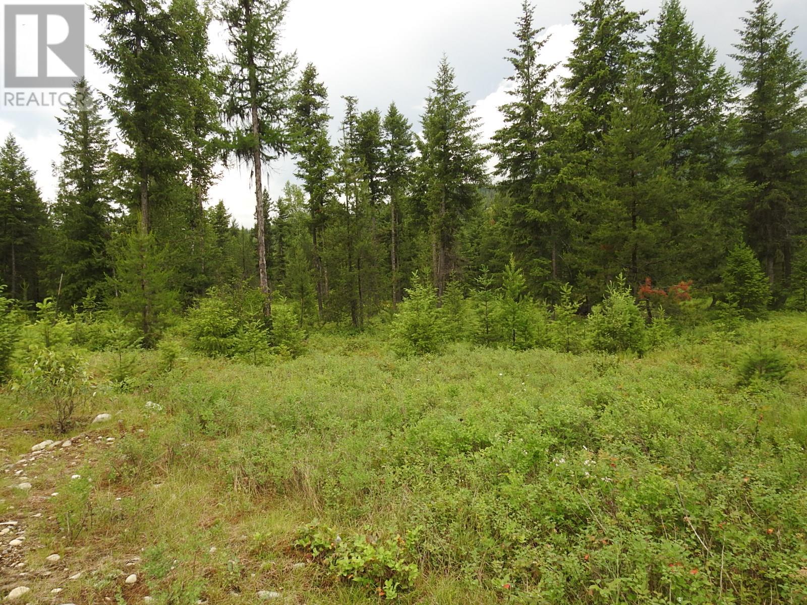 9700 6 Highway, Edgewood, British Columbia  V0G 1J0 - Photo 22 - 2477581