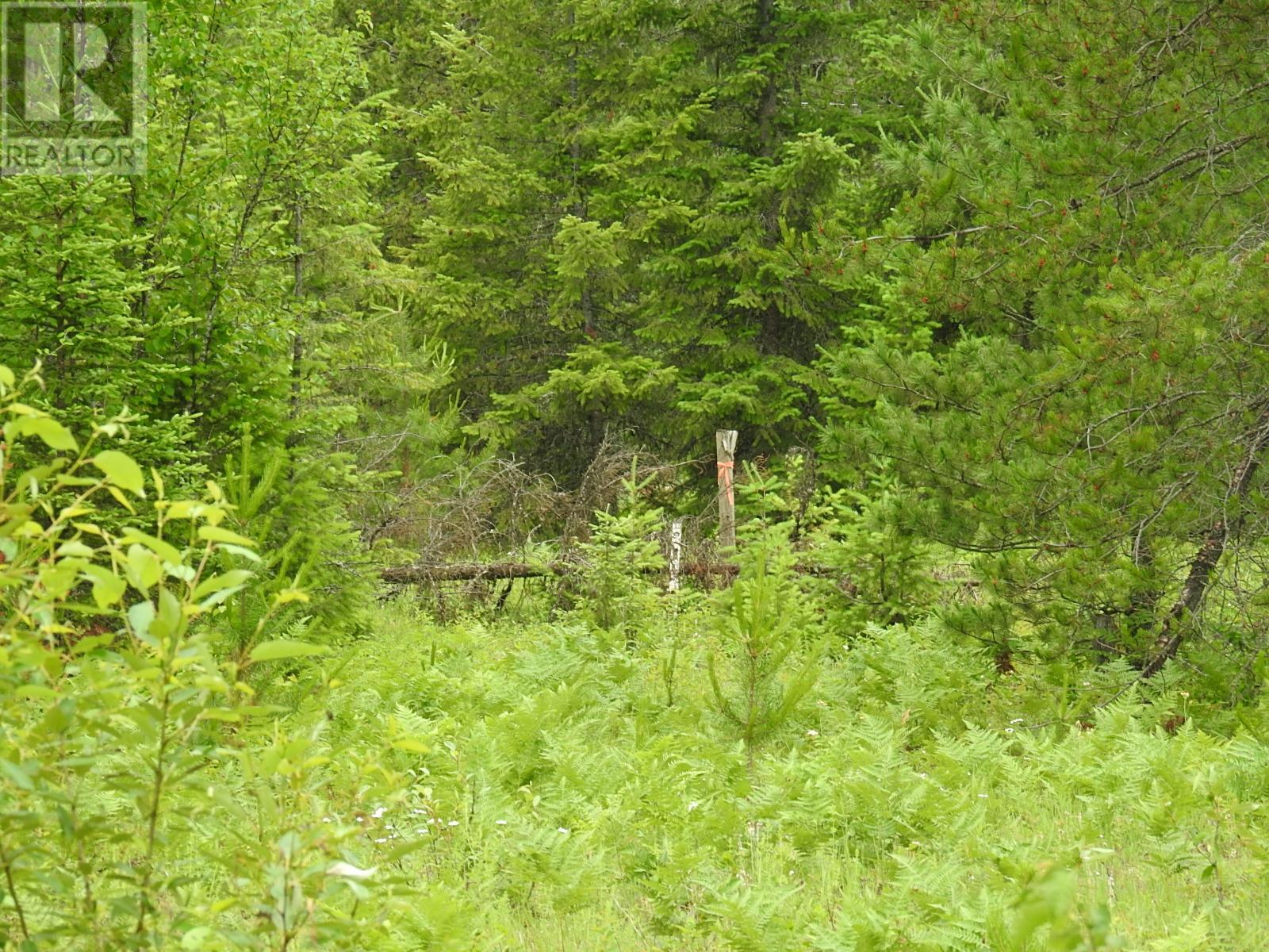 9700 6 Highway, Edgewood, British Columbia  V0G 1J0 - Photo 25 - 2477581