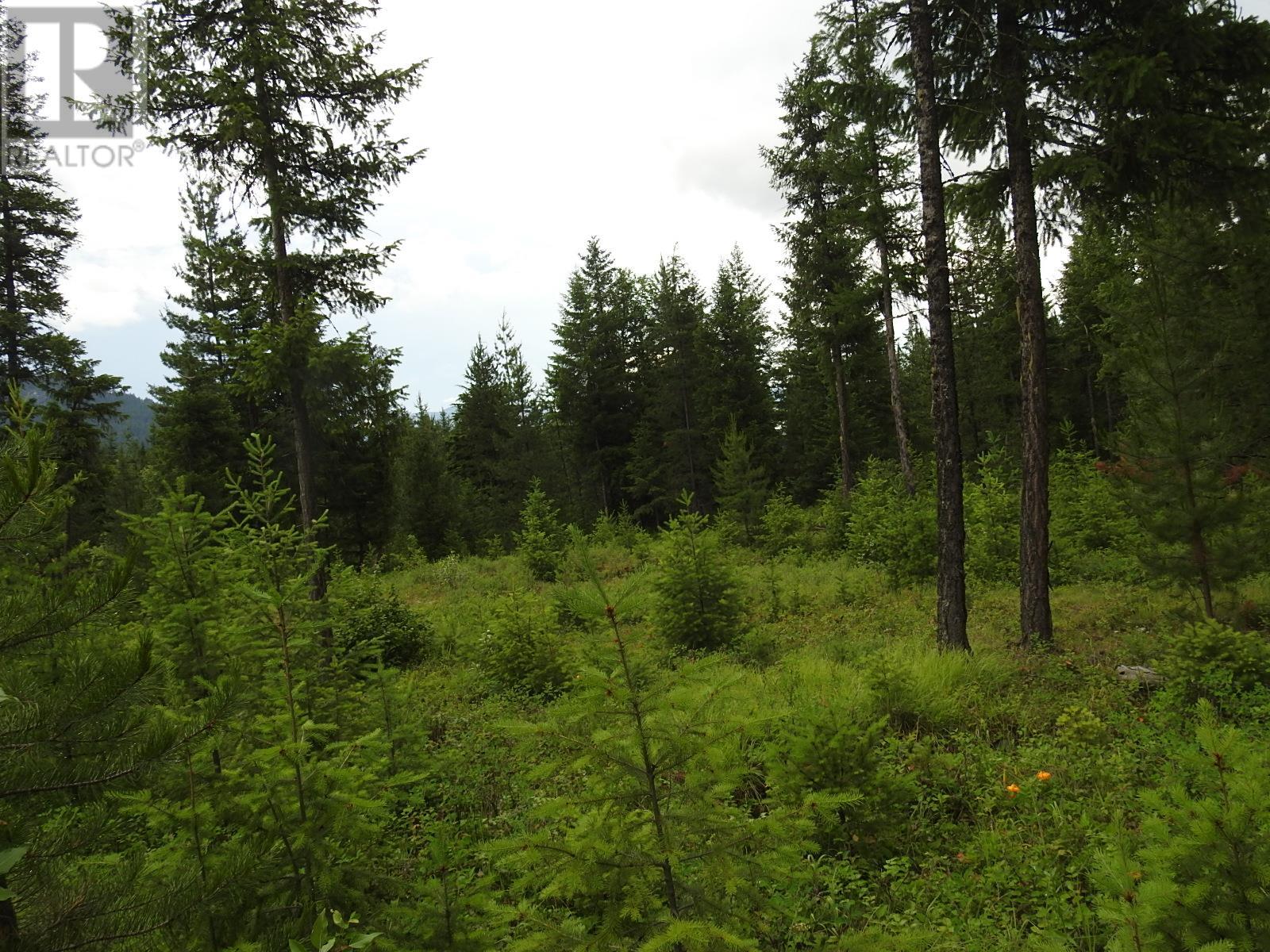 9700 6 Highway, Edgewood, British Columbia  V0G 1J0 - Photo 26 - 2477581