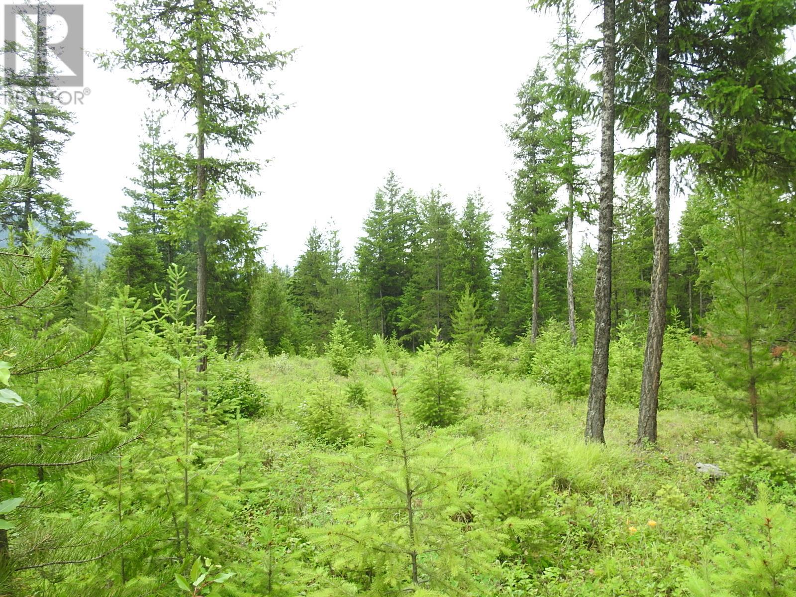 9700 6 Highway, Edgewood, British Columbia  V0G 1J0 - Photo 27 - 2477581