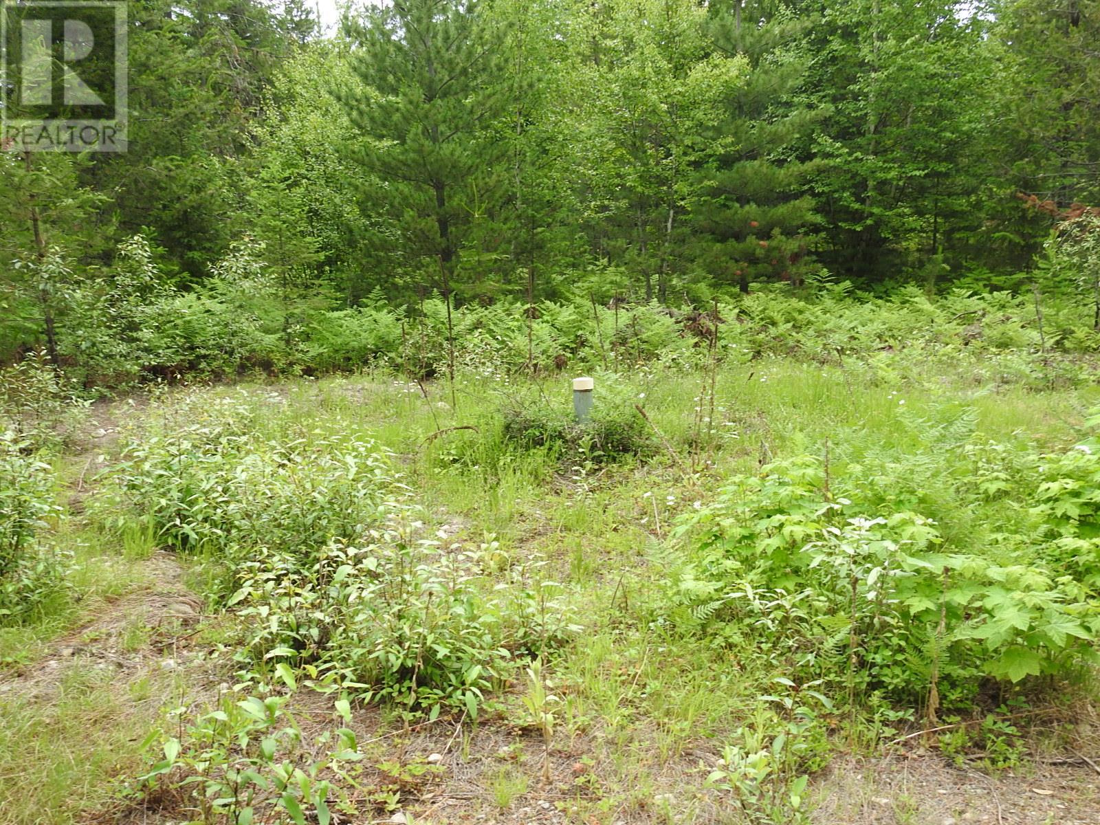 9700 6 Highway, Edgewood, British Columbia  V0G 1J0 - Photo 3 - 2477581