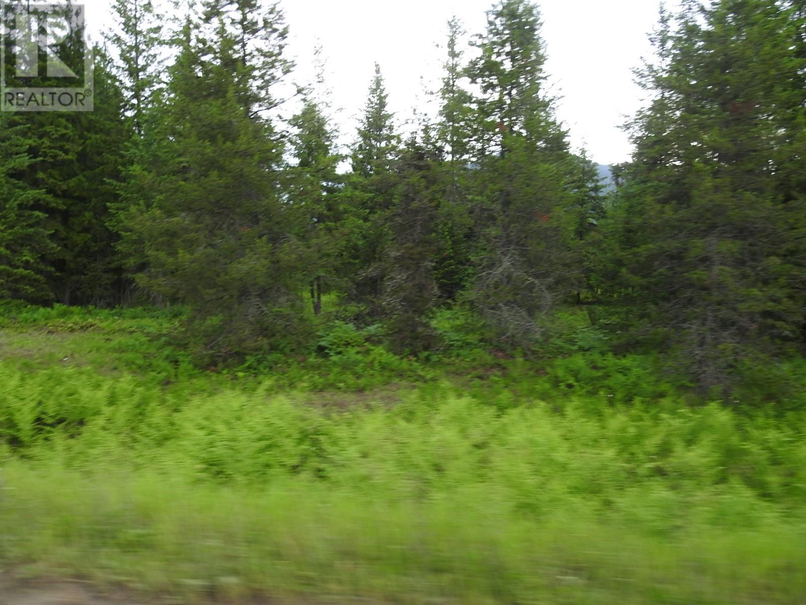 9700 6 Highway, Edgewood, British Columbia  V0G 1J0 - Photo 32 - 2477581