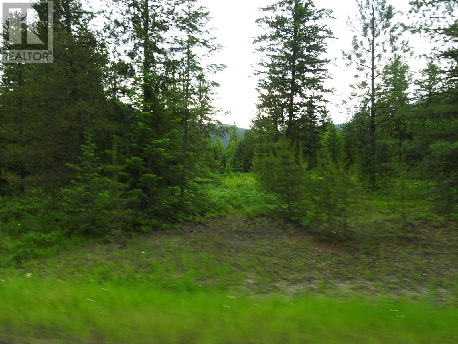 9700 6 Highway, Edgewood, British Columbia  V0G 1J0 - Photo 33 - 2477581