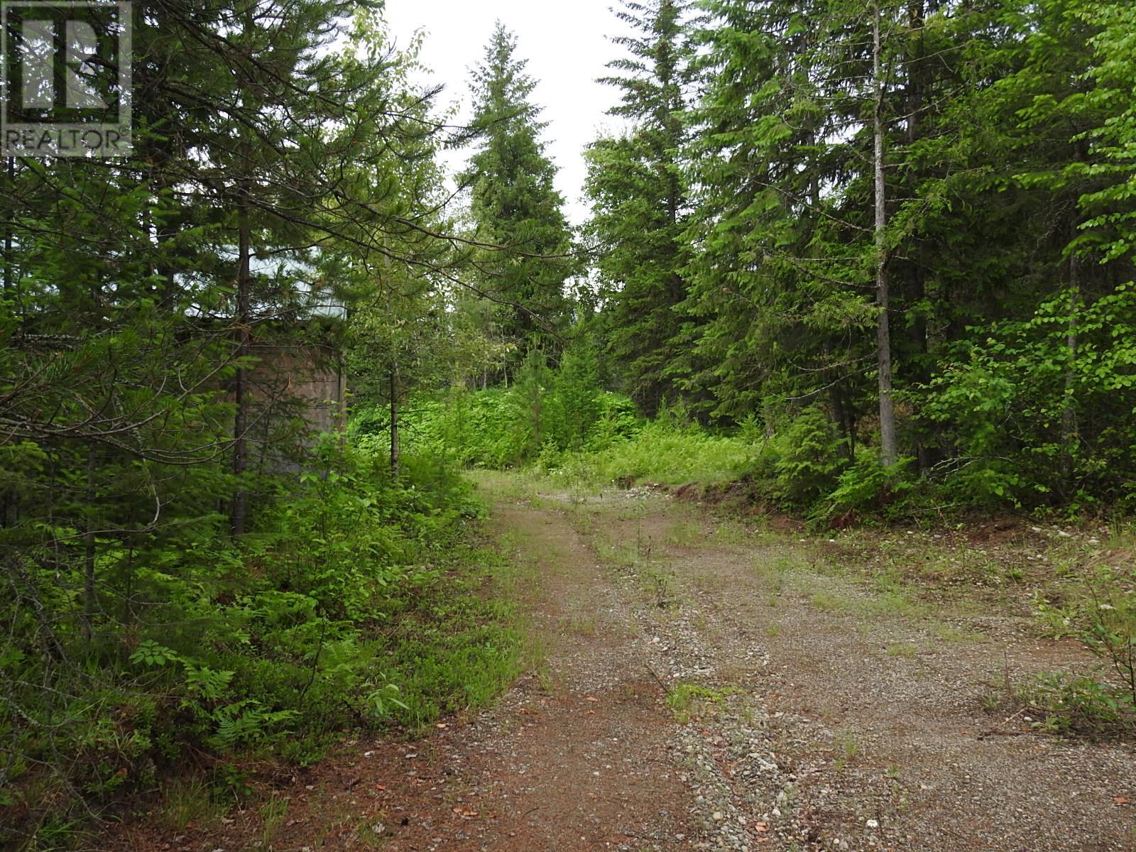 9700 6 Highway, Edgewood, British Columbia  V0G 1J0 - Photo 4 - 2477581