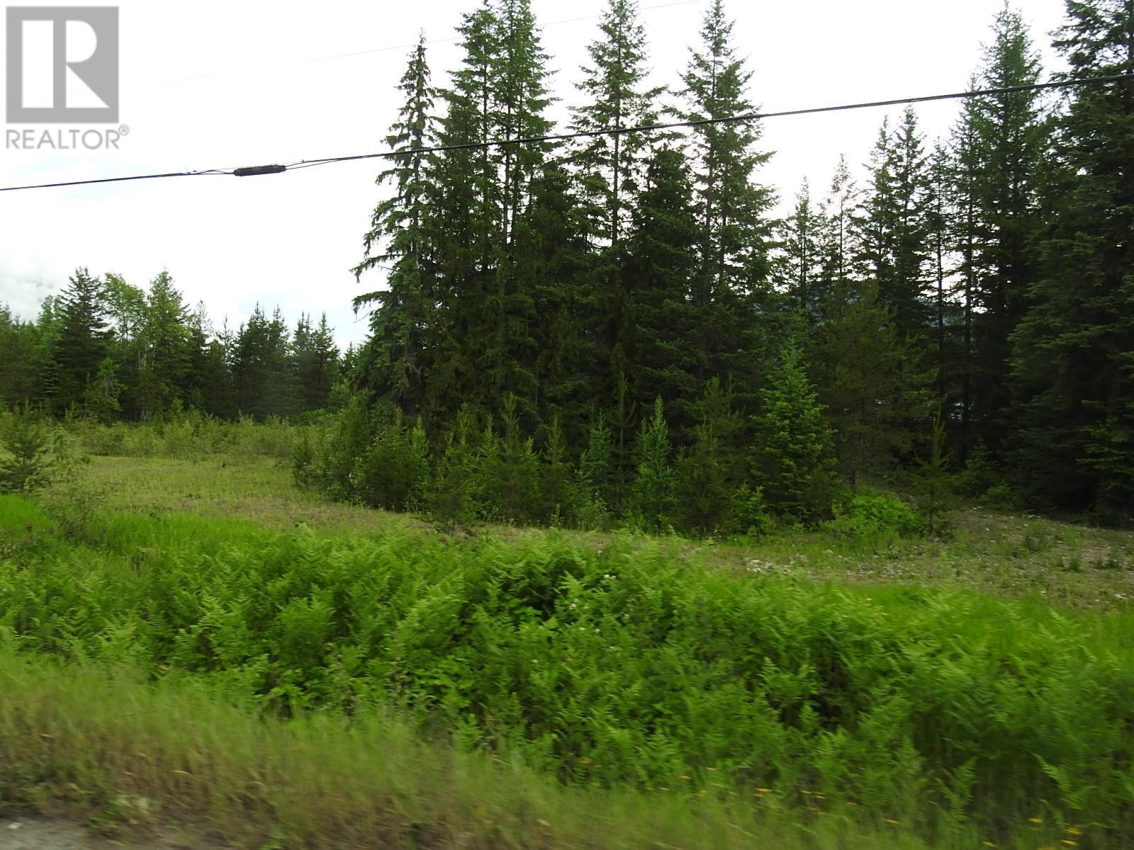 9700 6 Highway, Edgewood, British Columbia  V0G 1J0 - Photo 7 - 2477581