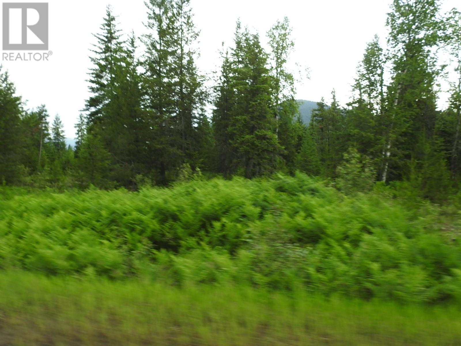 9700 6 Highway, Edgewood, British Columbia  V0G 1J0 - Photo 8 - 2477581