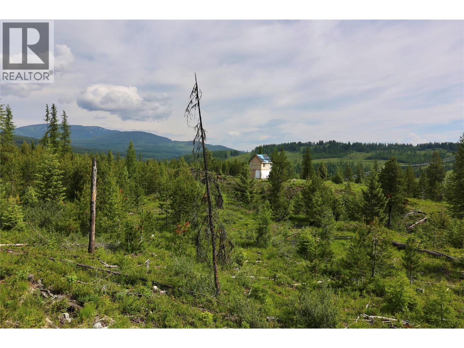 2375 Belchrome Fsr Road, Bridesville, British Columbia  V0H 1Y0 - Photo 10 - 10317100