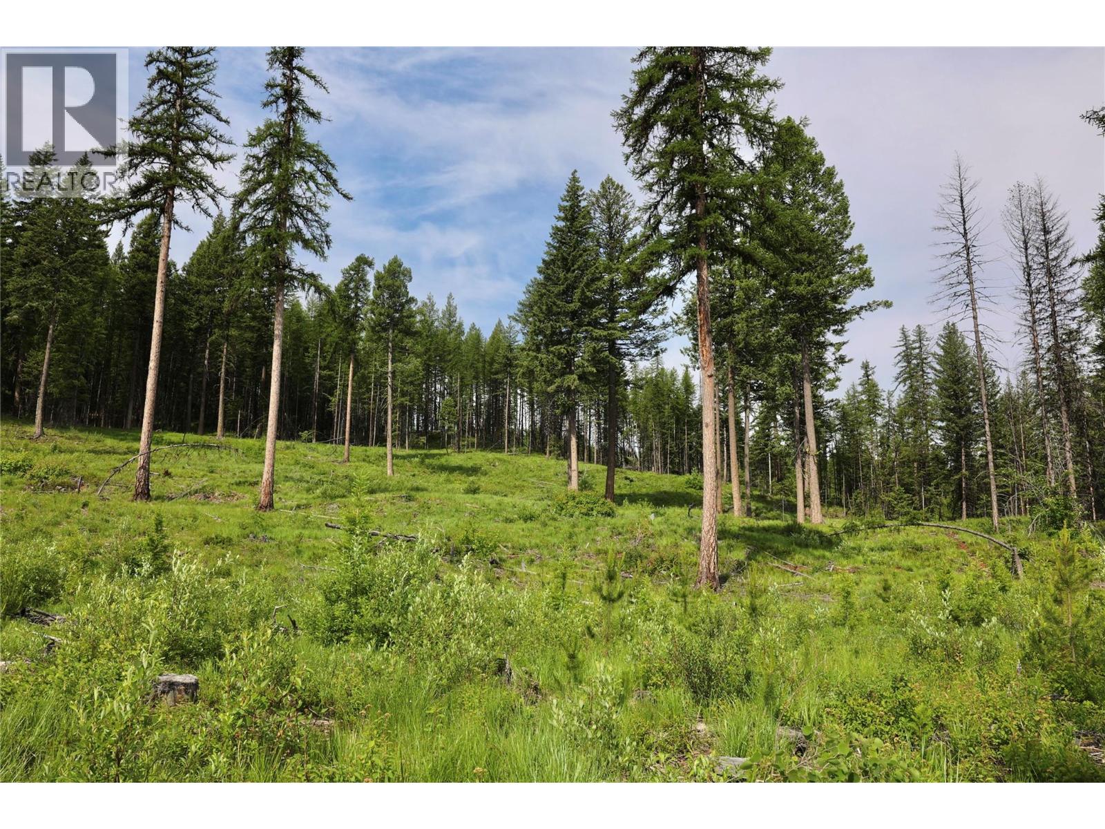 2375 Belchrome Fsr Road, Bridesville, British Columbia  V0H 1Y0 - Photo 12 - 10317100