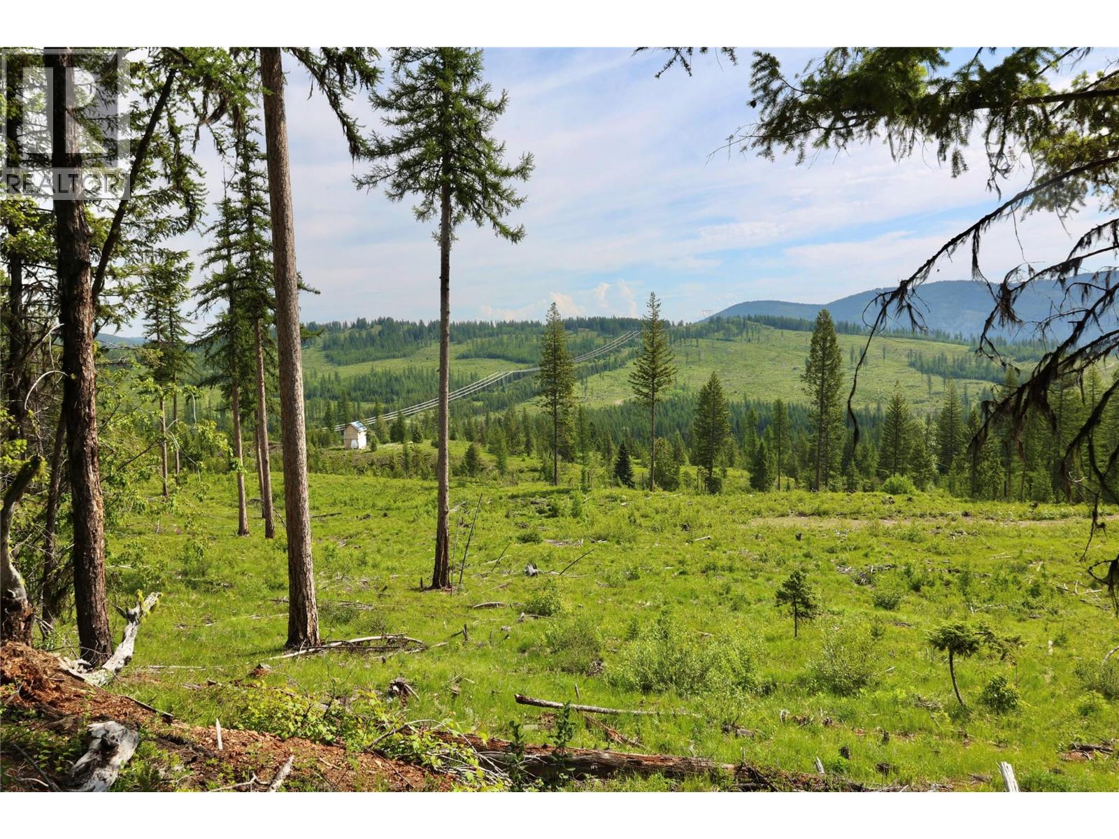 2375 Belchrome Fsr Road, Bridesville, British Columbia  V0H 1Y0 - Photo 14 - 10317100