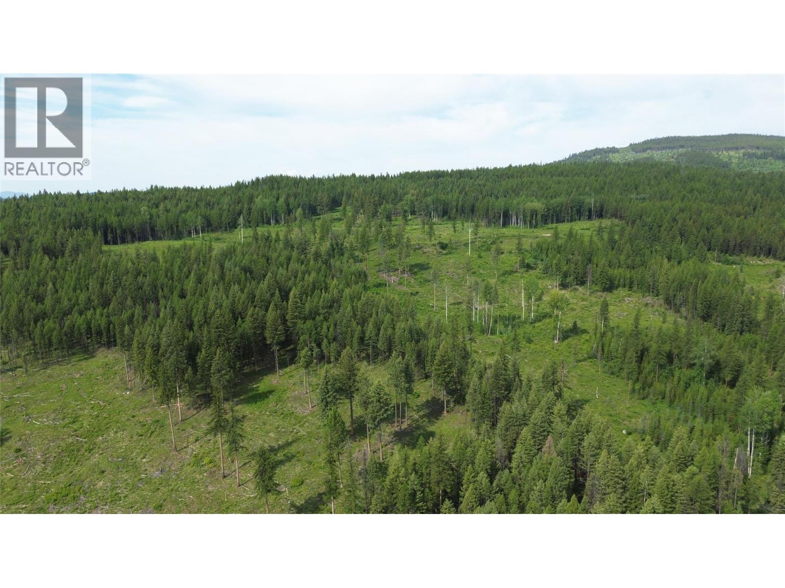 2375 Belchrome Fsr Road, Bridesville, British Columbia  V0H 1Y0 - Photo 17 - 10317100