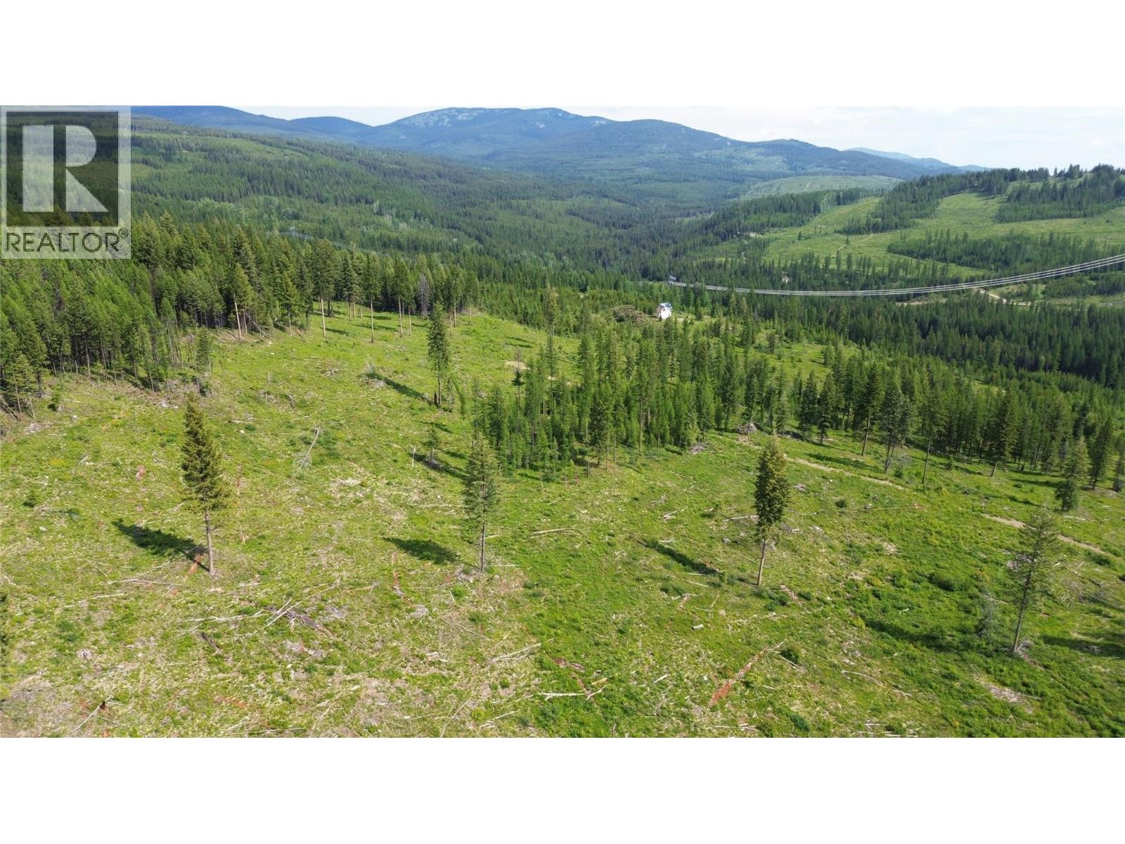 2375 Belchrome Fsr Road, Bridesville, British Columbia  V0H 1Y0 - Photo 23 - 10317100