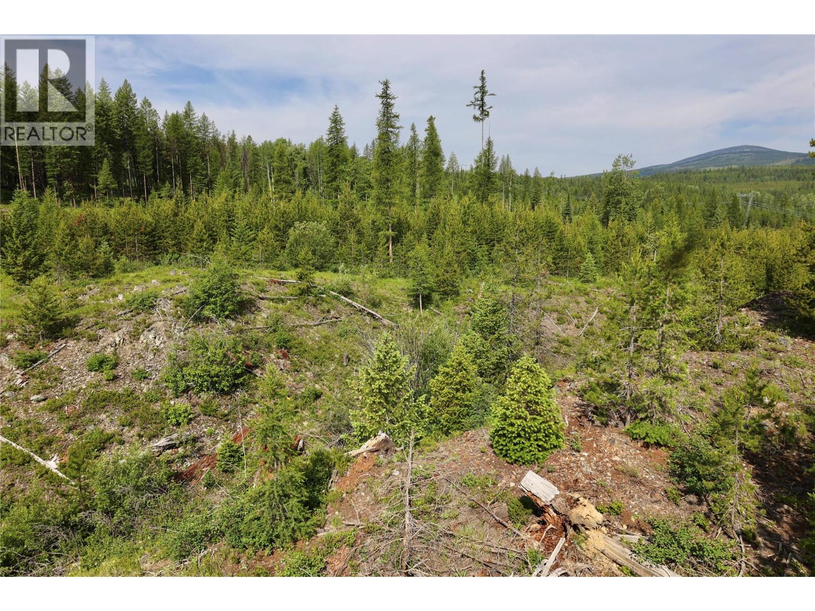 2375 Belchrome Fsr Road, Bridesville, British Columbia  V0H 1Y0 - Photo 7 - 10317100