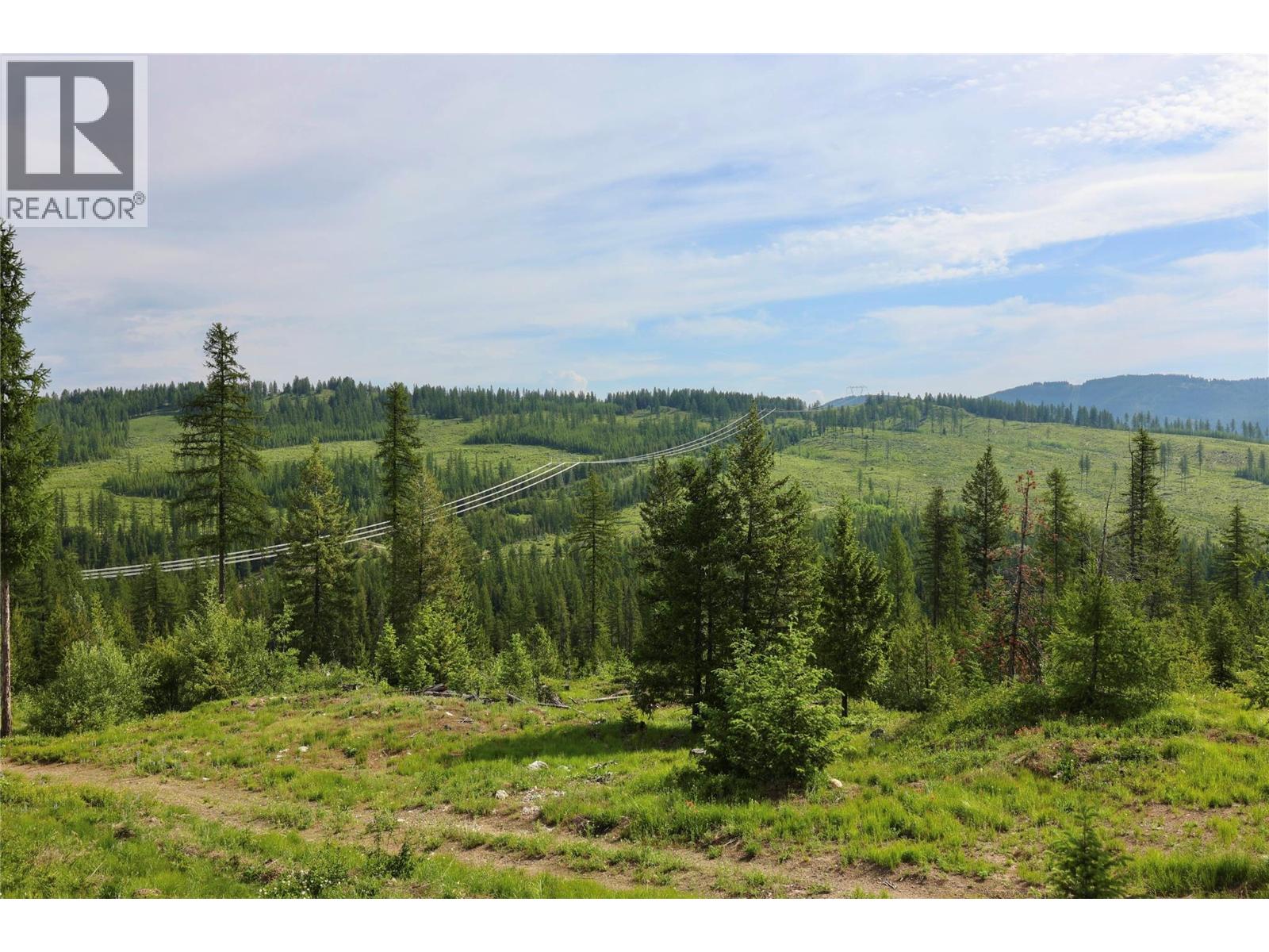 2375 Belchrome Fsr Road, Bridesville, British Columbia  V0H 1Y0 - Photo 8 - 10317100