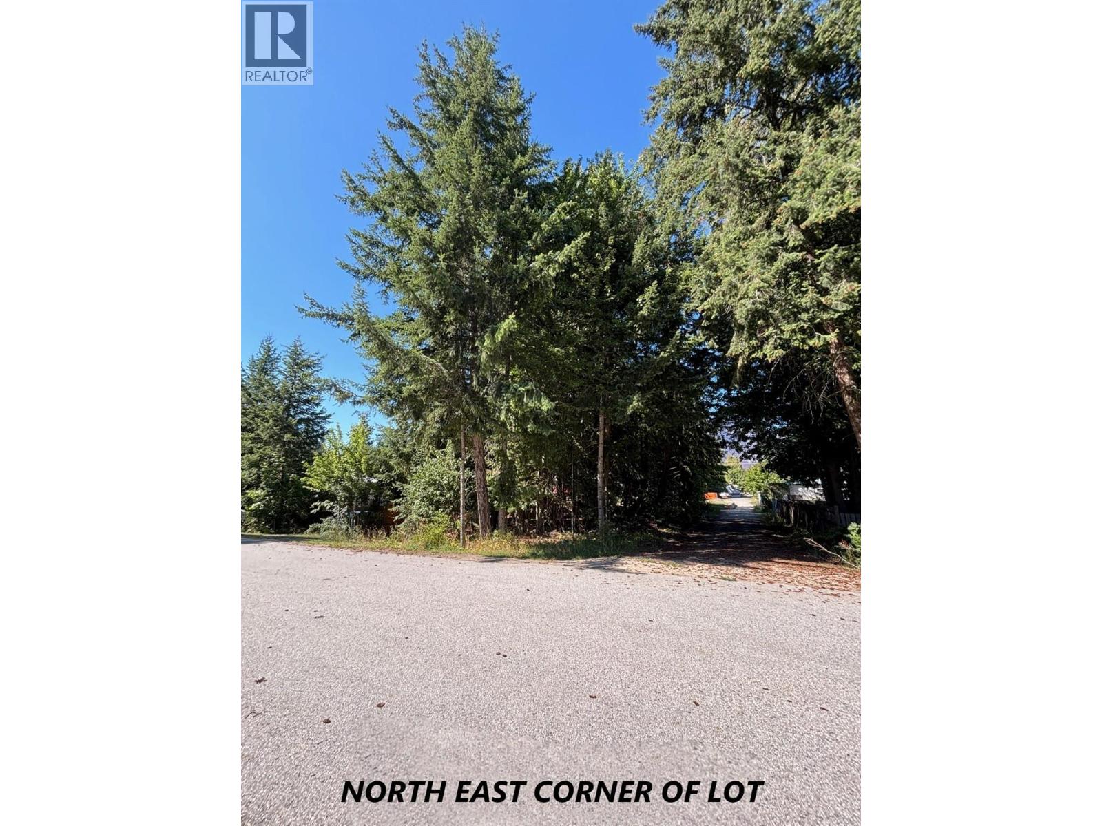 Parcel C Columbia Street, New Denver, British Columbia  V0G 1S0 - Photo 4 - 2478481