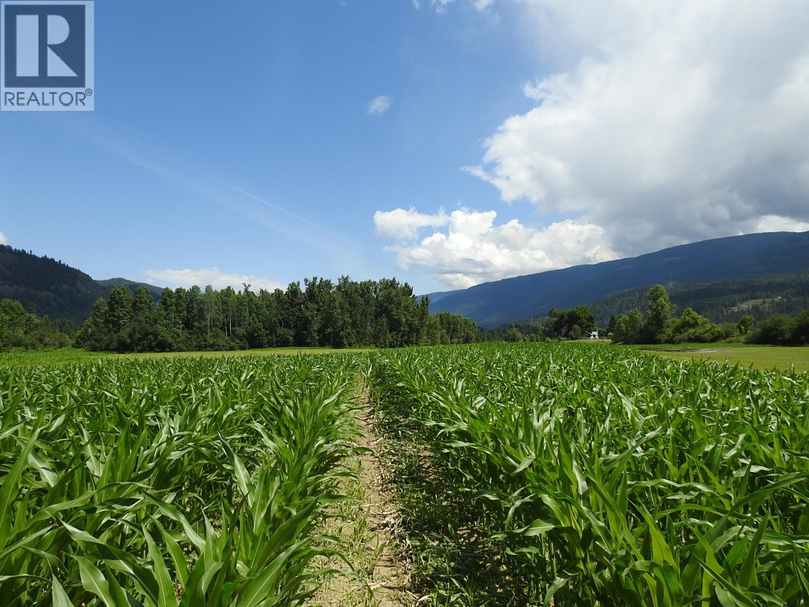7160 97-A Highway, Grindrod, British Columbia  V0E 2K0 - Photo 1 - 10319913