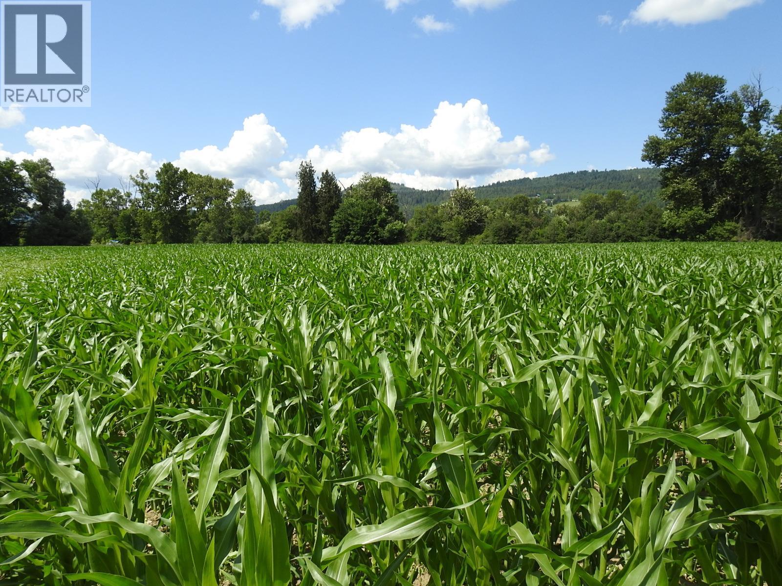 7160 97-A Highway, Grindrod, British Columbia  V0E 2K0 - Photo 10 - 10319913