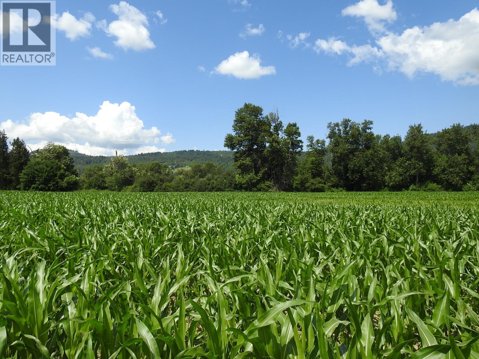 7160 97-A Highway, Grindrod, British Columbia  V0E 2K0 - Photo 11 - 10319913