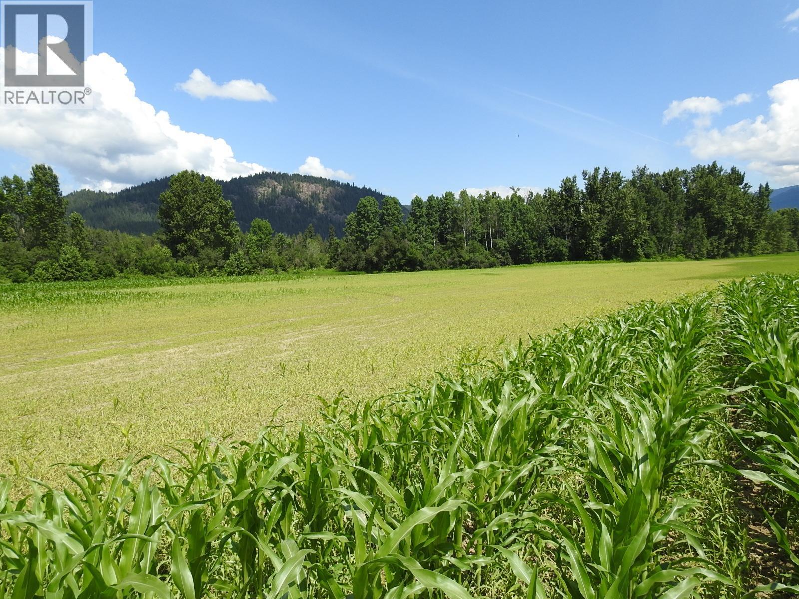 7160 97-A Highway, Grindrod, British Columbia  V0E 2K0 - Photo 12 - 10319913