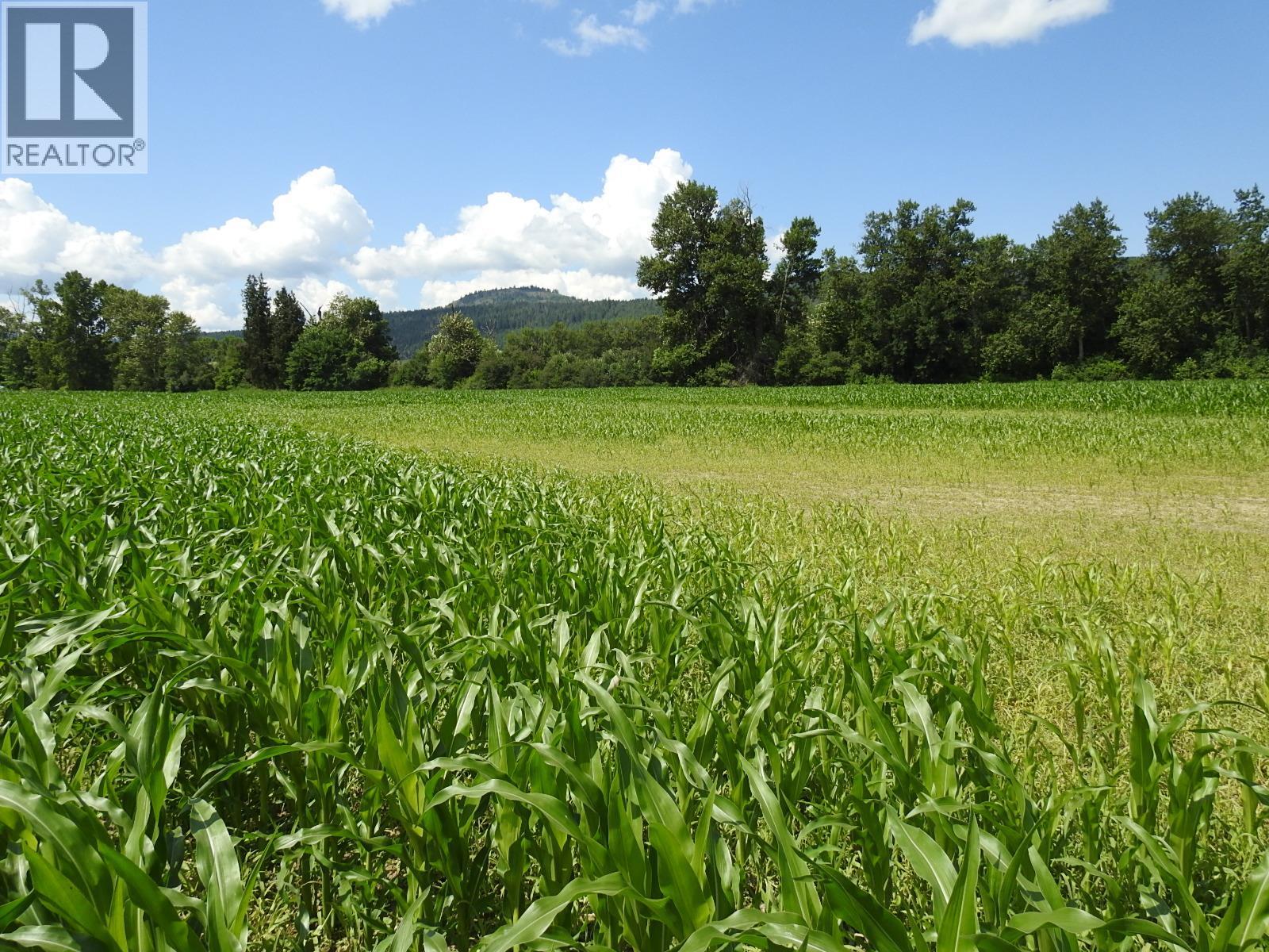 7160 97-A Highway, Grindrod, British Columbia  V0E 2K0 - Photo 13 - 10319913