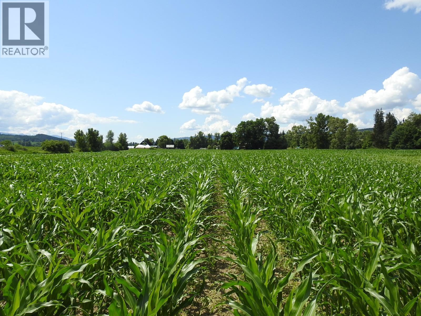 7160 97-A Highway, Grindrod, British Columbia  V0E 2K0 - Photo 14 - 10319913