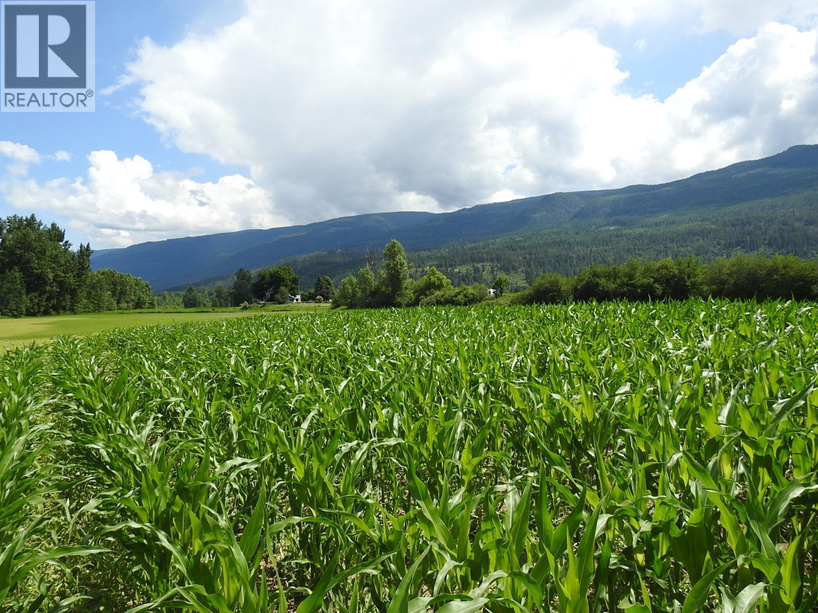 7160 97-A Highway, Grindrod, British Columbia  V0E 2K0 - Photo 15 - 10319913