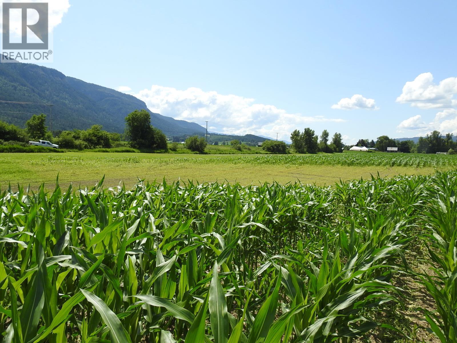 7160 97-A Highway, Grindrod, British Columbia  V0E 2K0 - Photo 16 - 10319913