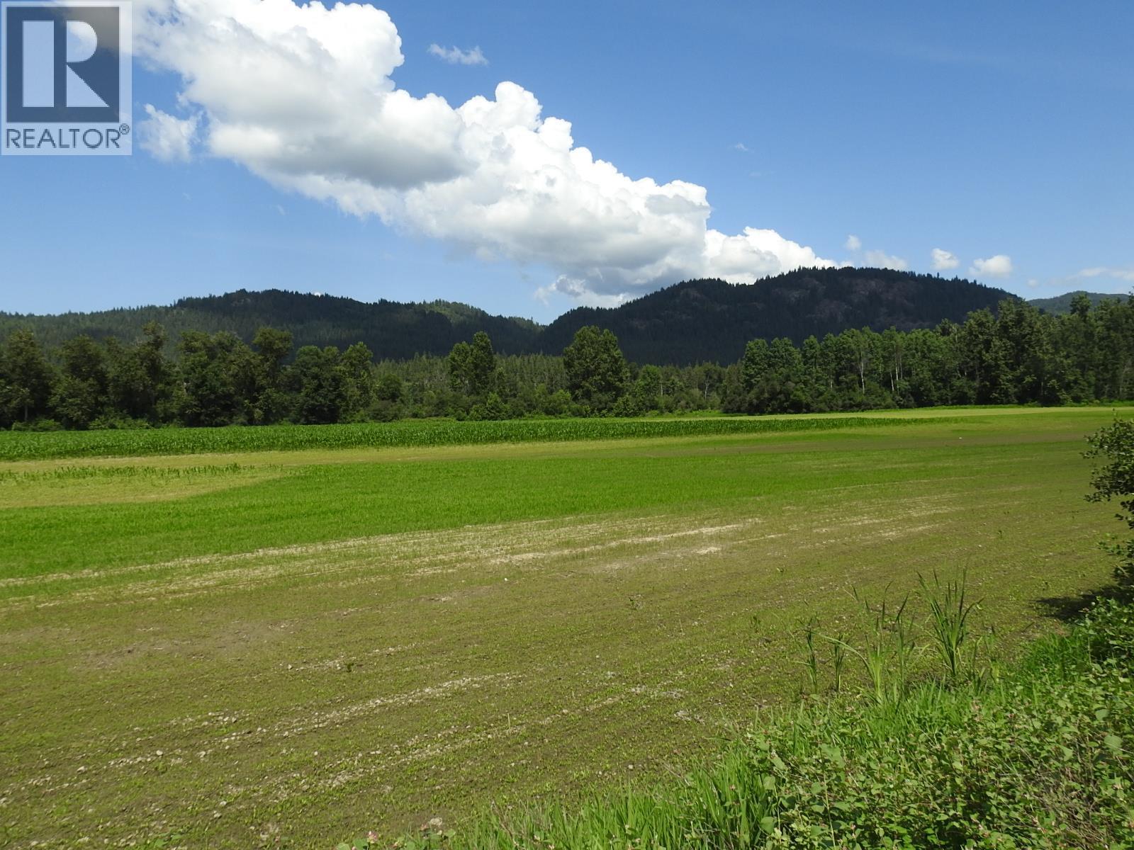 7160 97-A Highway, Grindrod, British Columbia  V0E 2K0 - Photo 3 - 10319913