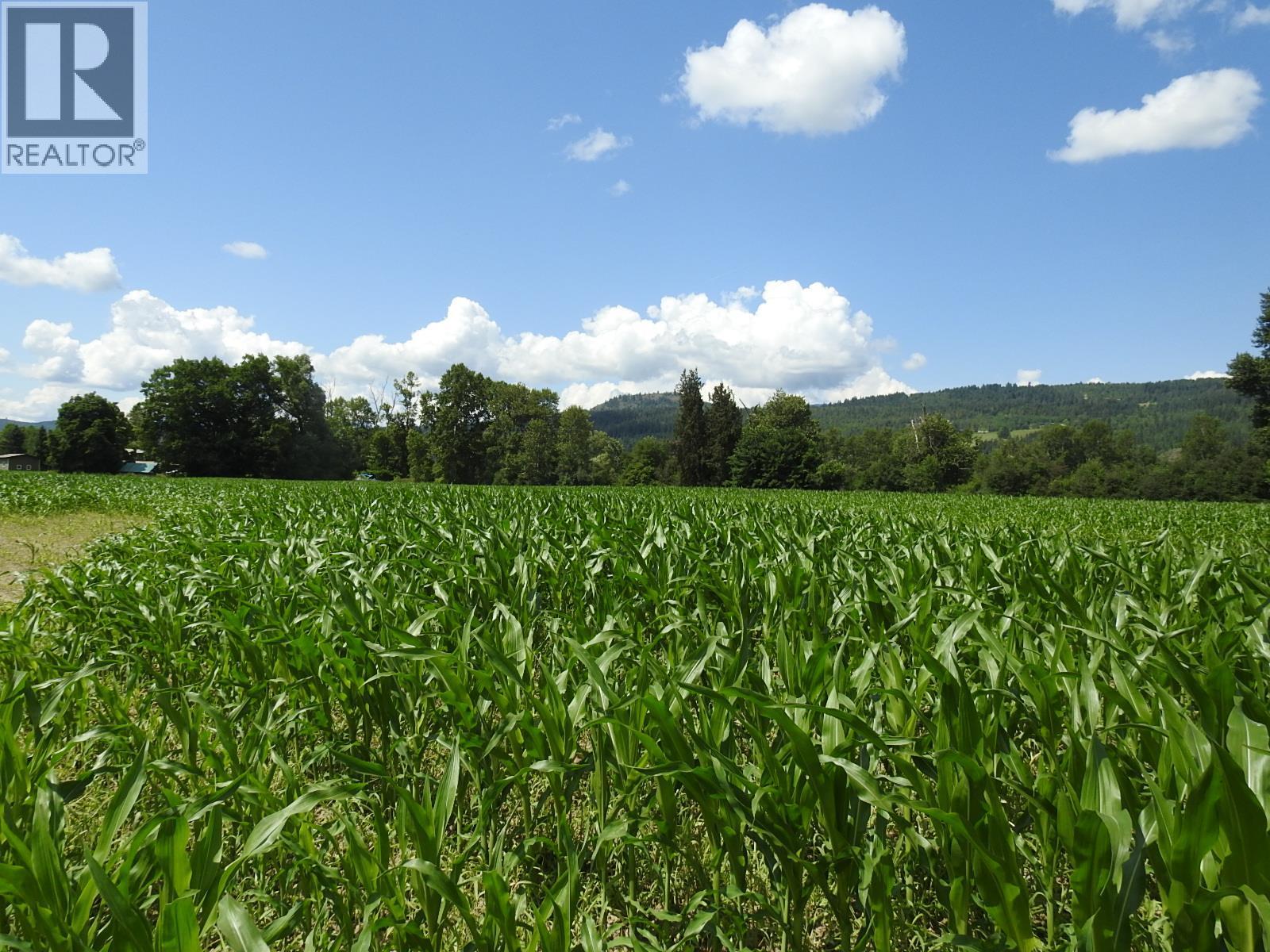 7160 97-A Highway, Grindrod, British Columbia  V0E 2K0 - Photo 5 - 10319913