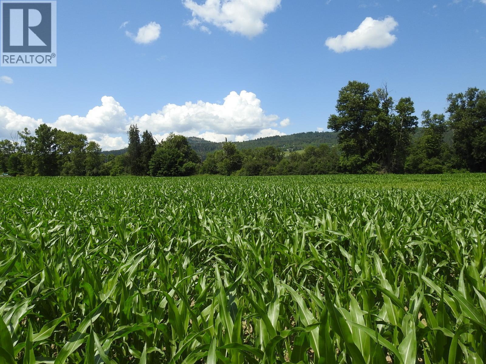 7160 97-A Highway, Grindrod, British Columbia  V0E 2K0 - Photo 6 - 10319913