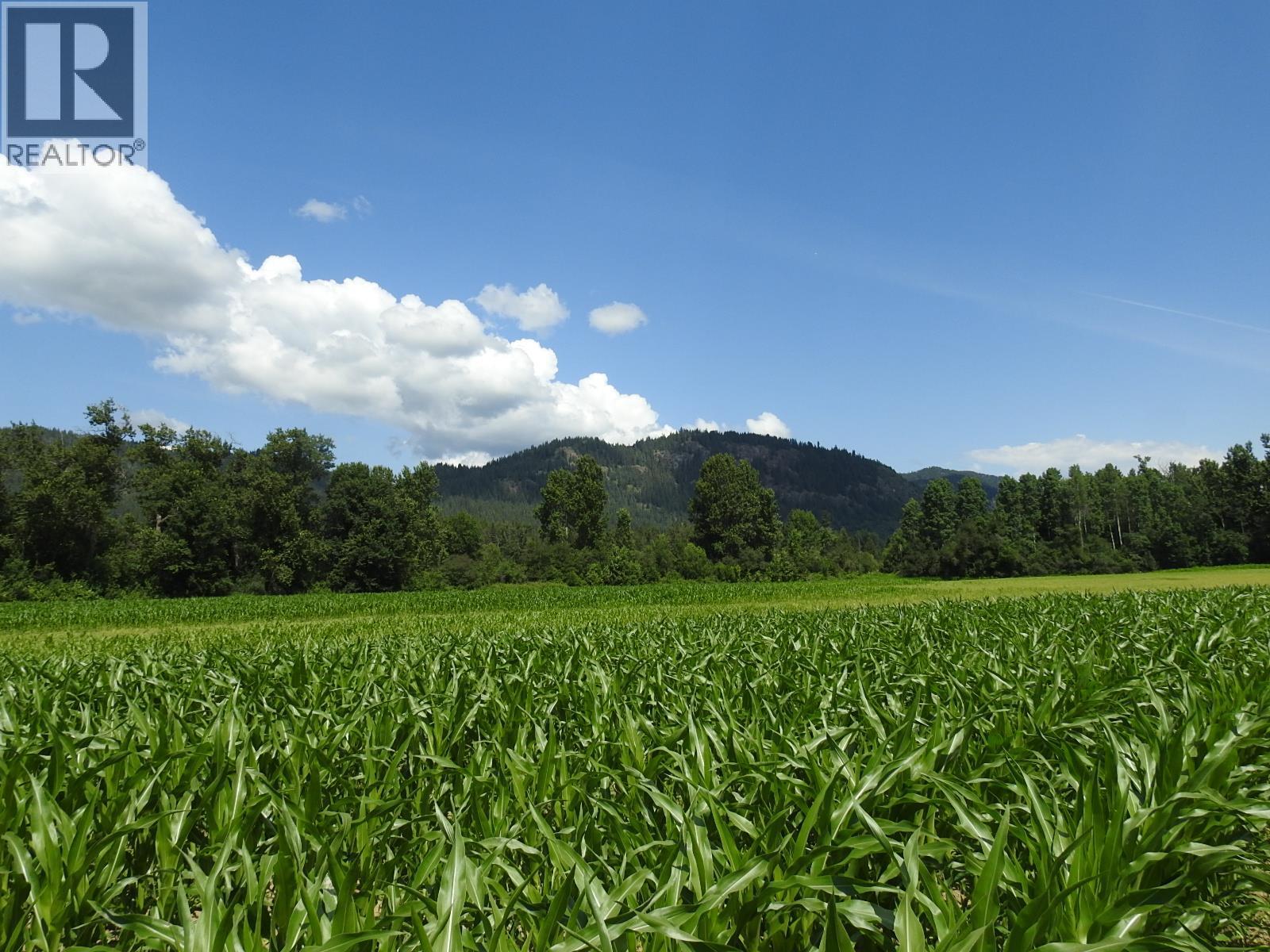 7160 97-A Highway, Grindrod, British Columbia  V0E 2K0 - Photo 7 - 10319913