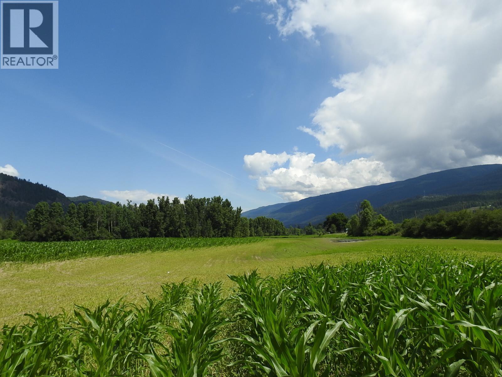 7160 97-A Highway, Grindrod, British Columbia  V0E 2K0 - Photo 8 - 10319913
