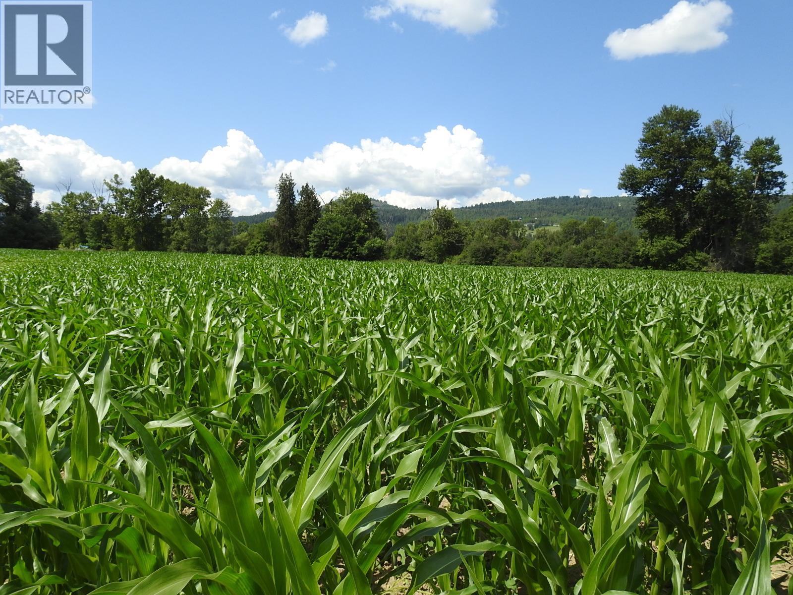 7160 97-A Highway, Grindrod, British Columbia  V0E 2K0 - Photo 9 - 10319913