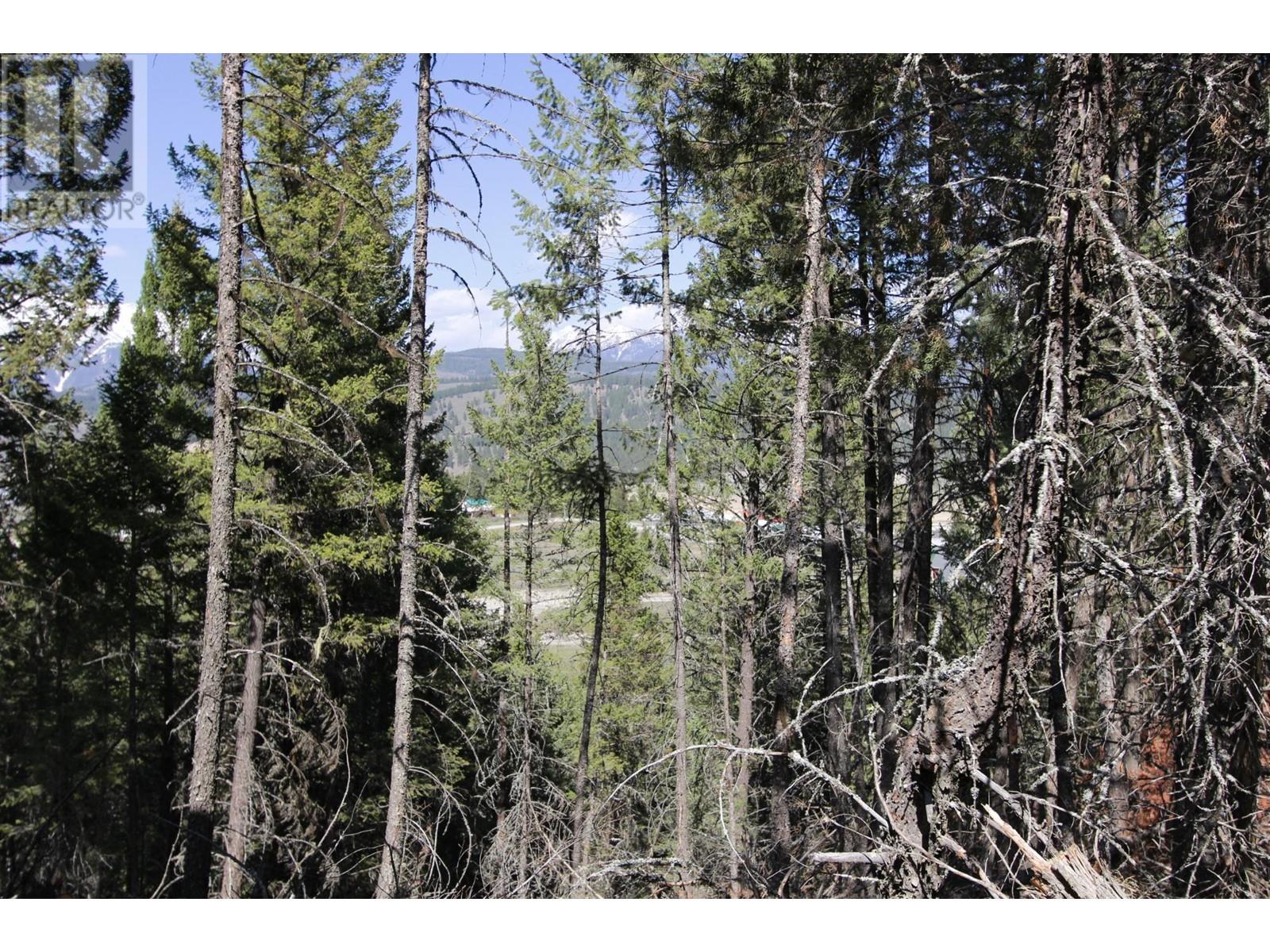 Lot 18 Osprey Landing Drive, Wardner, British Columbia  V0B 2J0 - Photo 10 - 2478547