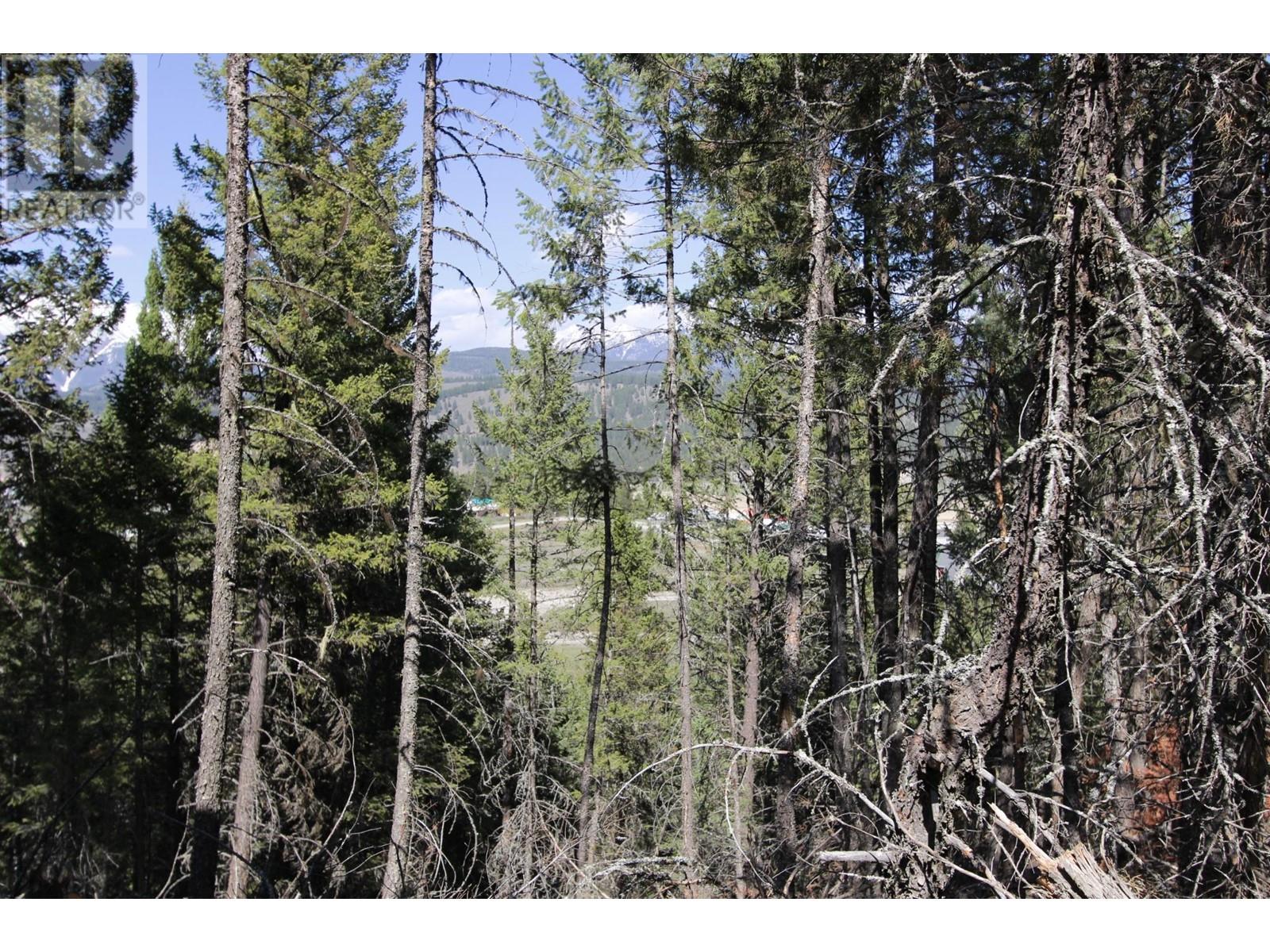 Lot 18 Osprey Landing Drive, Wardner, British Columbia  V0B 2J0 - Photo 11 - 2478547