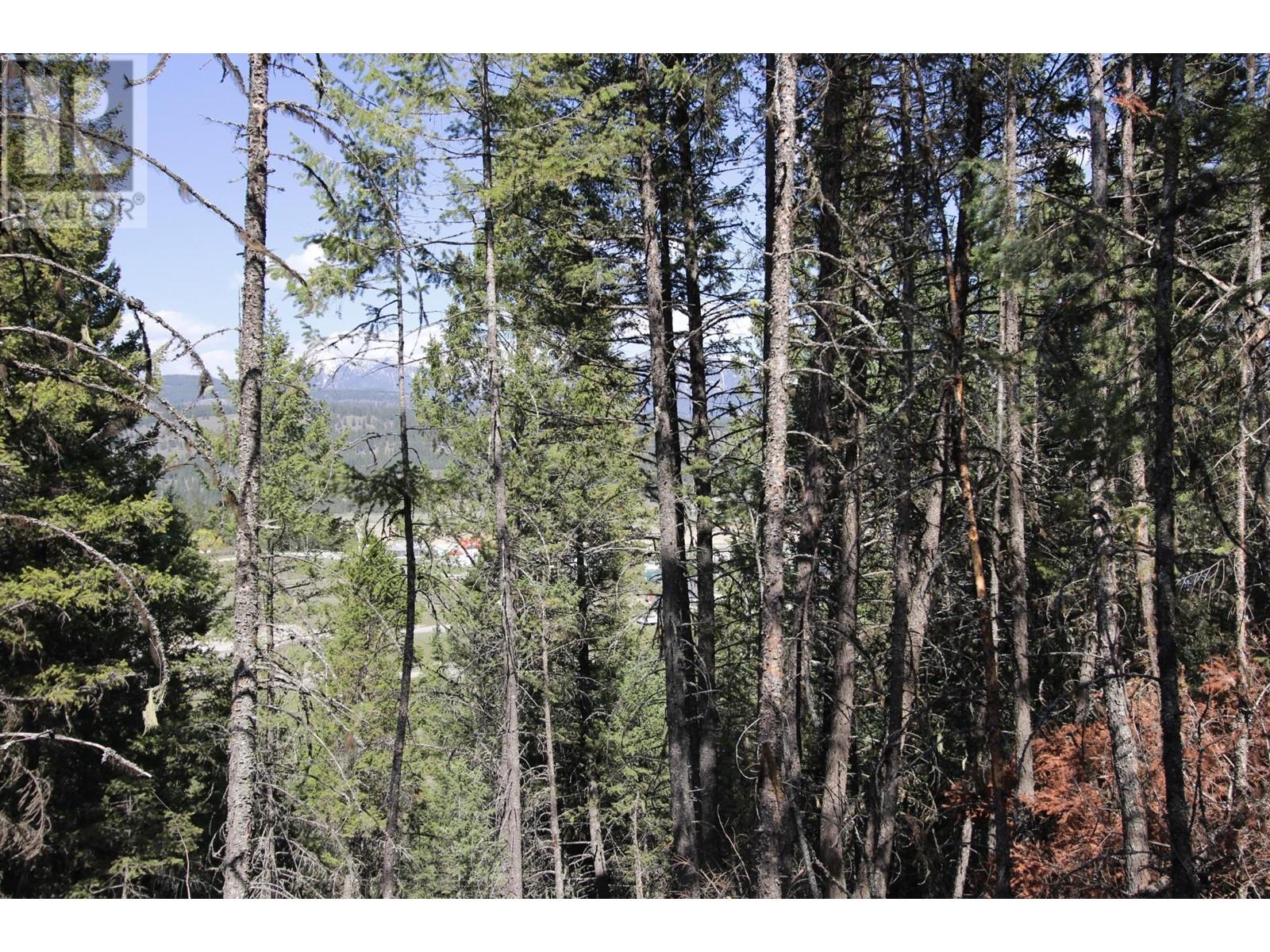 Lot 18 Osprey Landing Drive, Wardner, British Columbia  V0B 2J0 - Photo 12 - 2478547