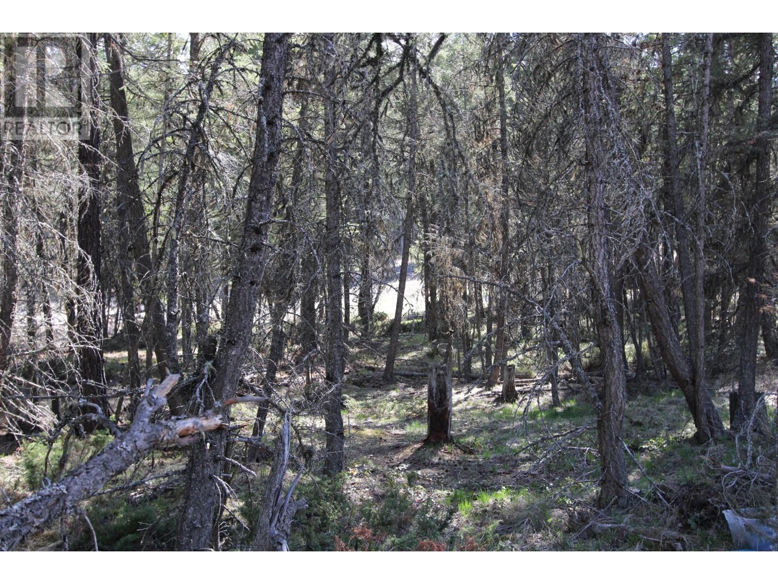 Lot 18 Osprey Landing Drive, Wardner, British Columbia  V0B 2J0 - Photo 13 - 2478547
