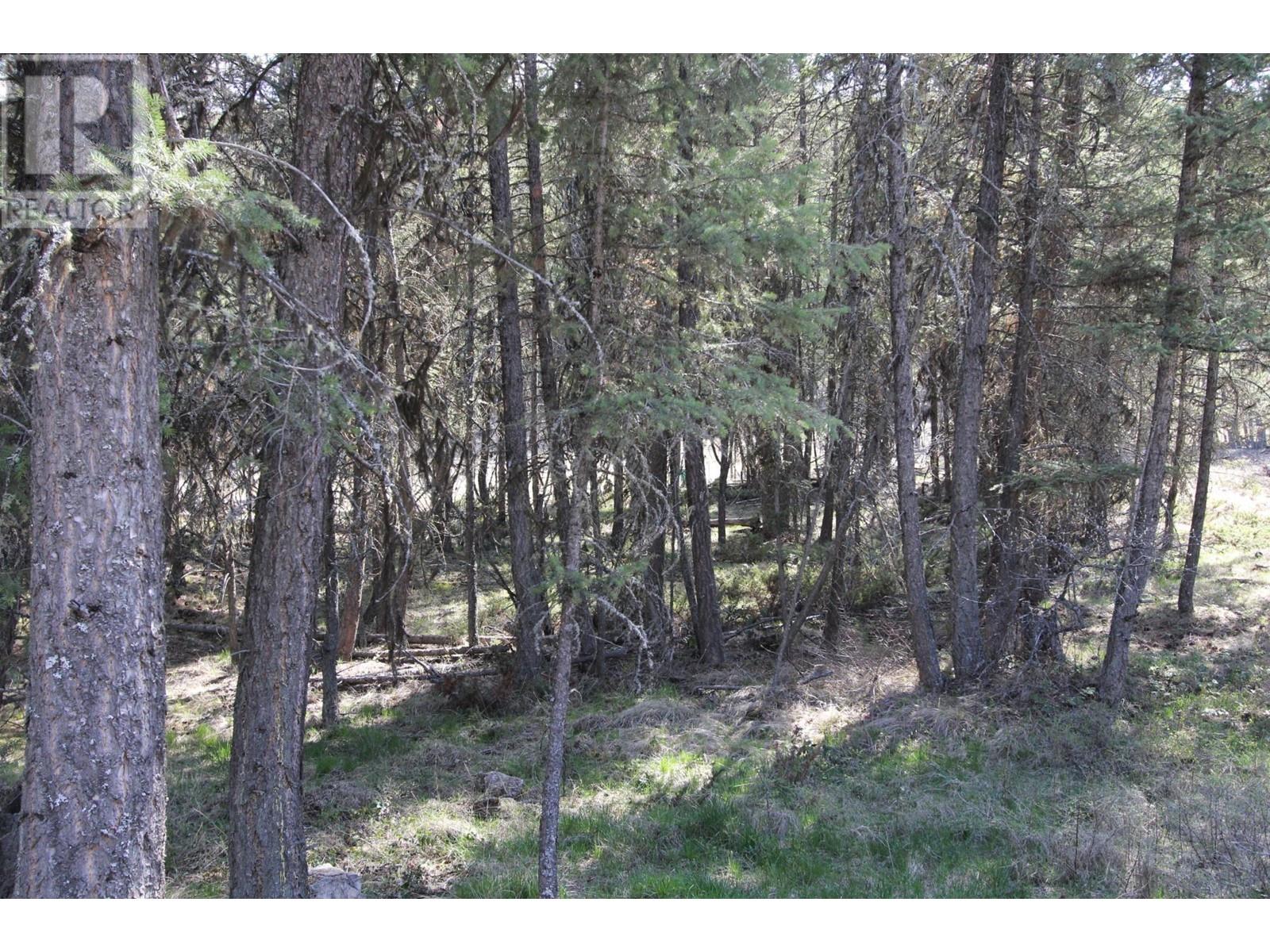 Lot 18 Osprey Landing Drive, Wardner, British Columbia  V0B 2J0 - Photo 14 - 2478547